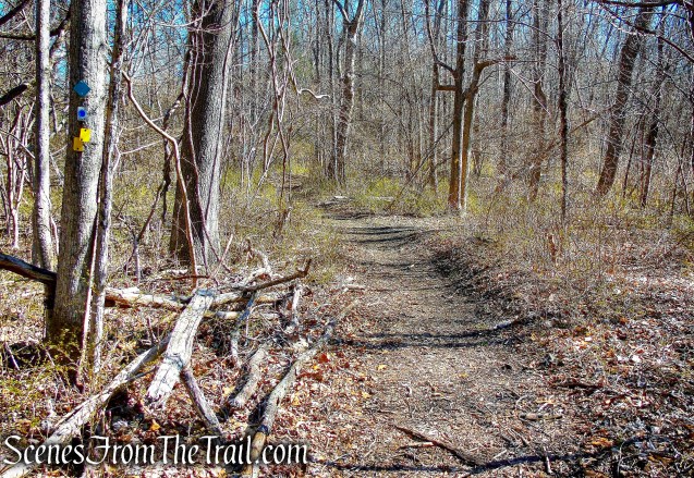 yellow-blazed Hasenclever Iron Trail