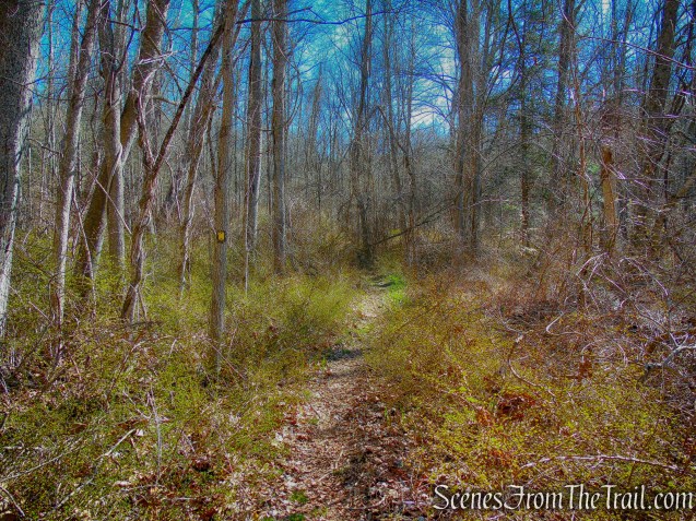 Hasenclever Iron Trail