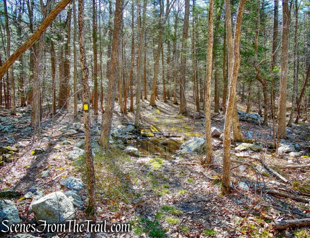 Hasenclever Iron Trail