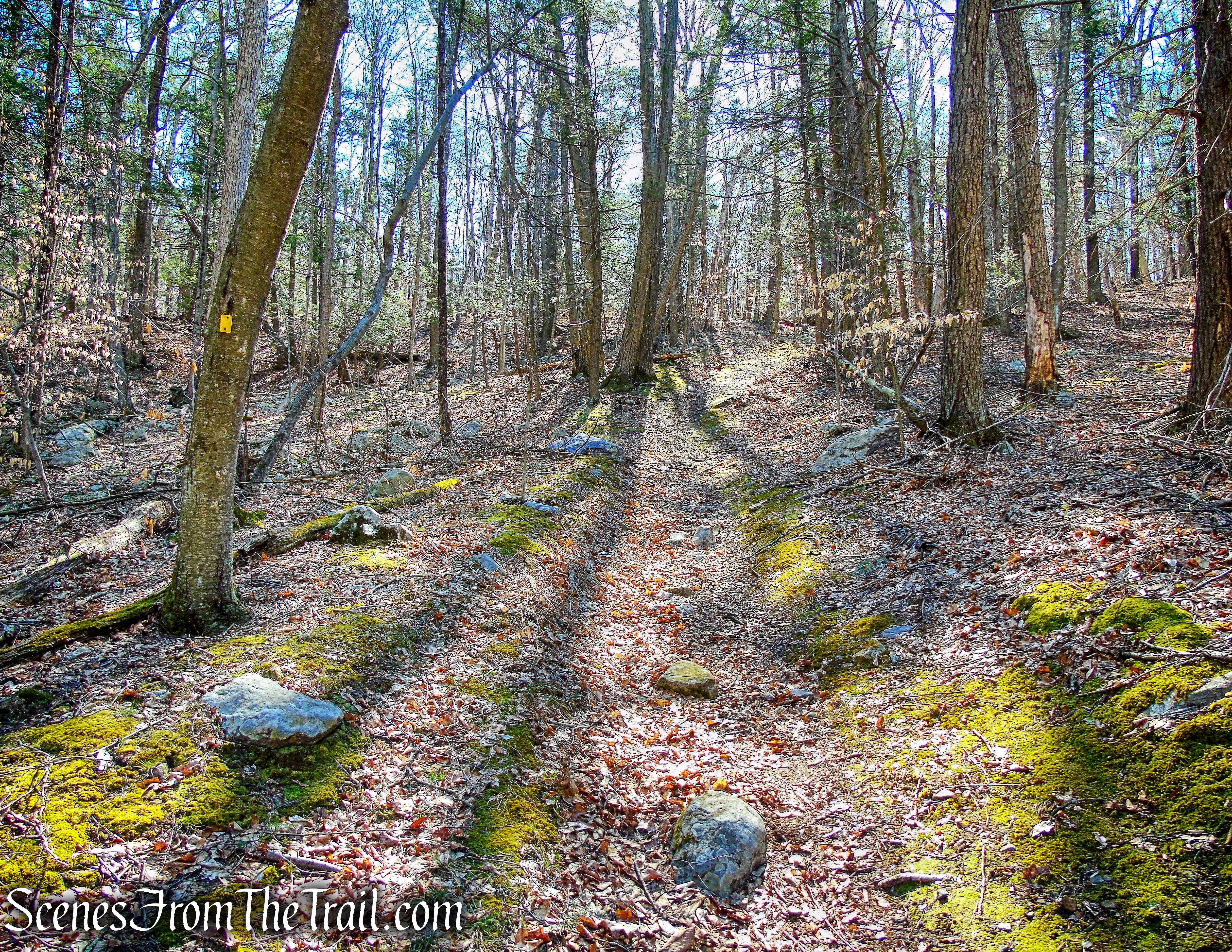 Hasenclever Iron Trail