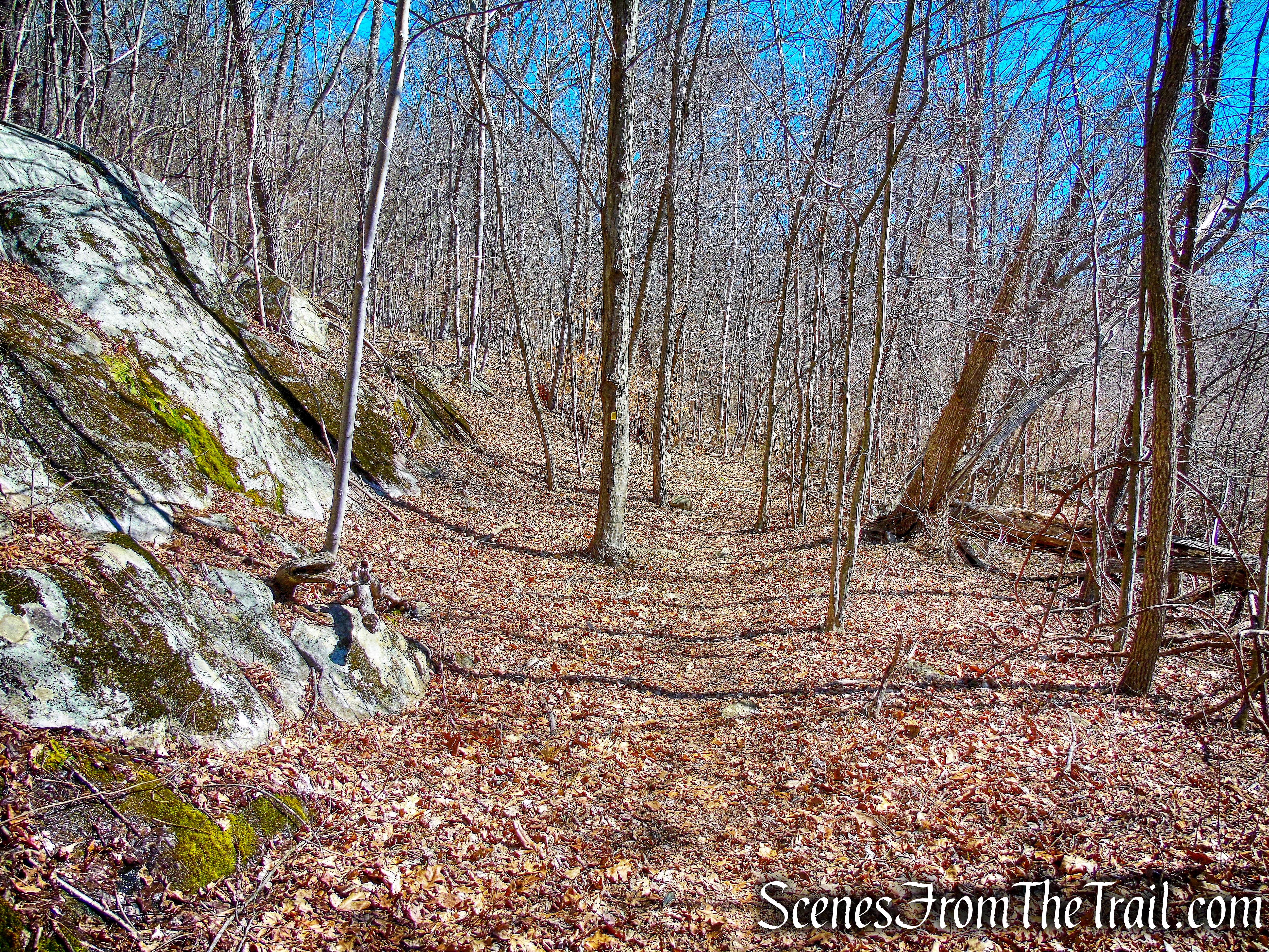 Hasenclever Iron Trail