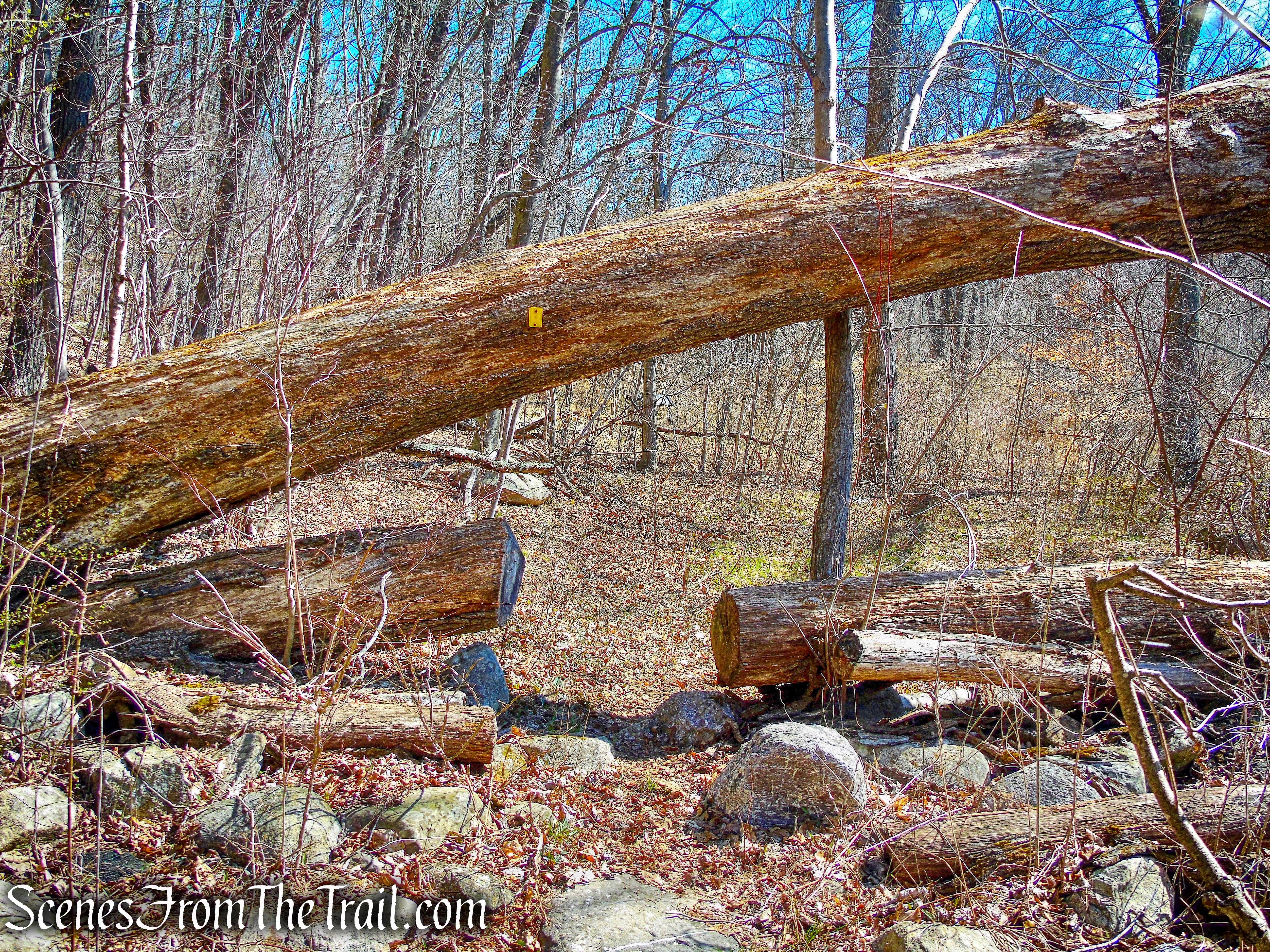 Hasenclever Iron Trail