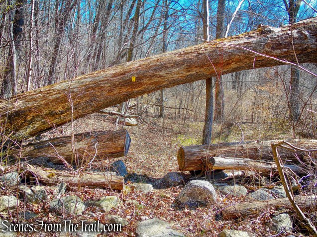 Hasenclever Iron Trail