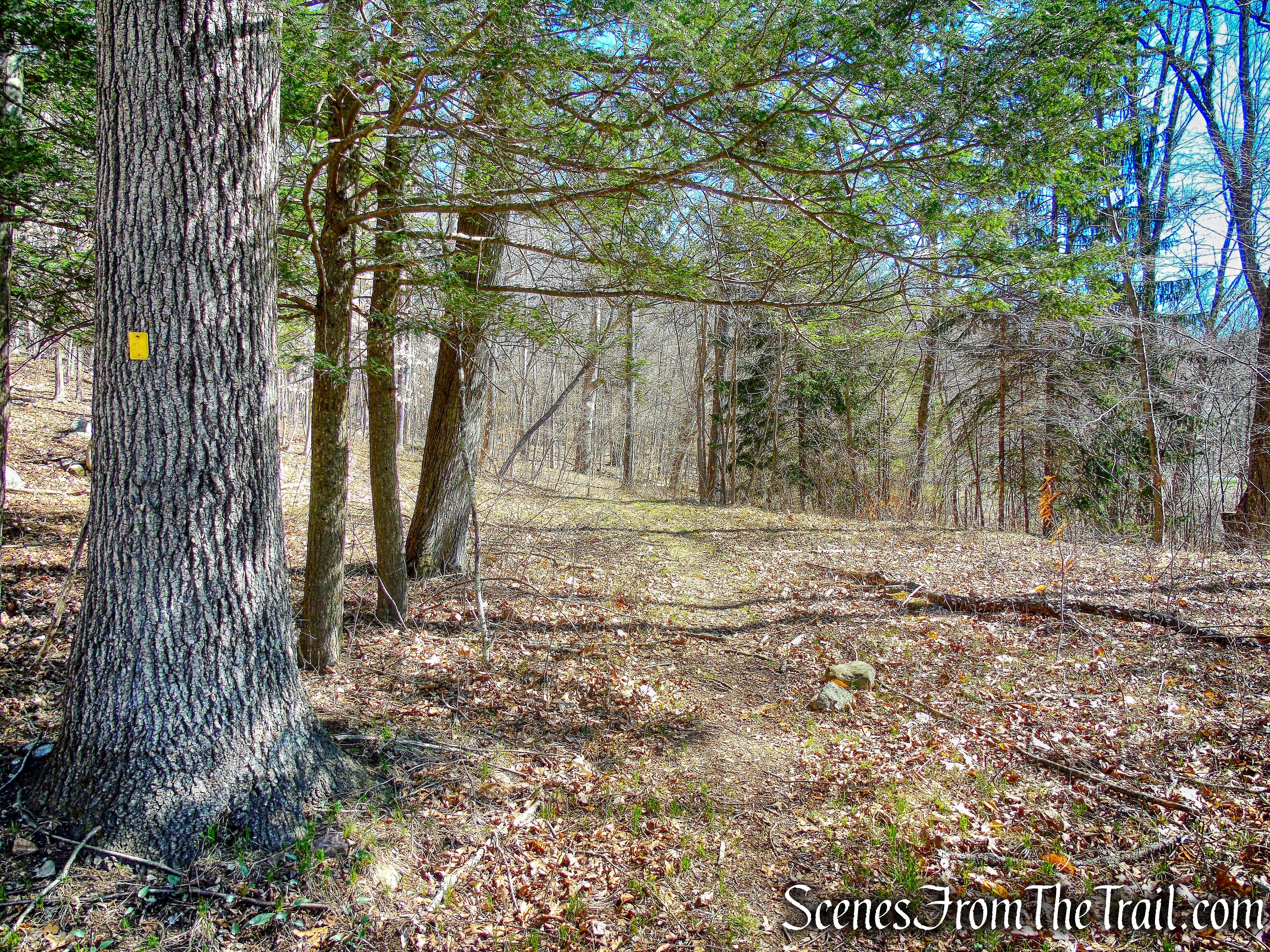 Hasenclever Iron Trail