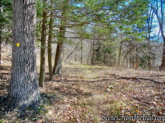 Hasenclever Iron Trail