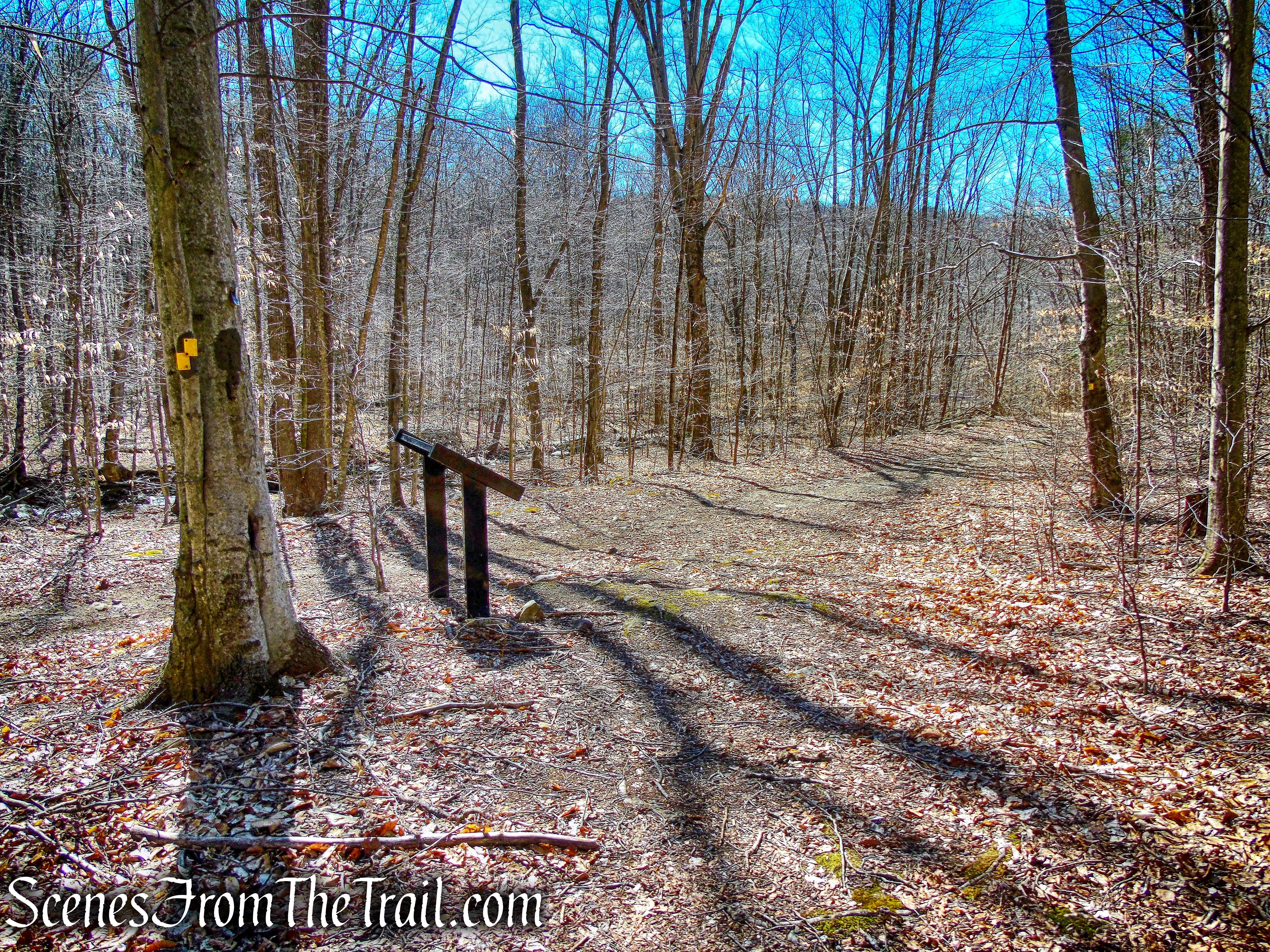 Hasenclever Iron Trail