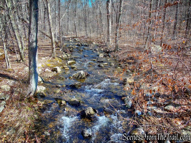 Beech Brook