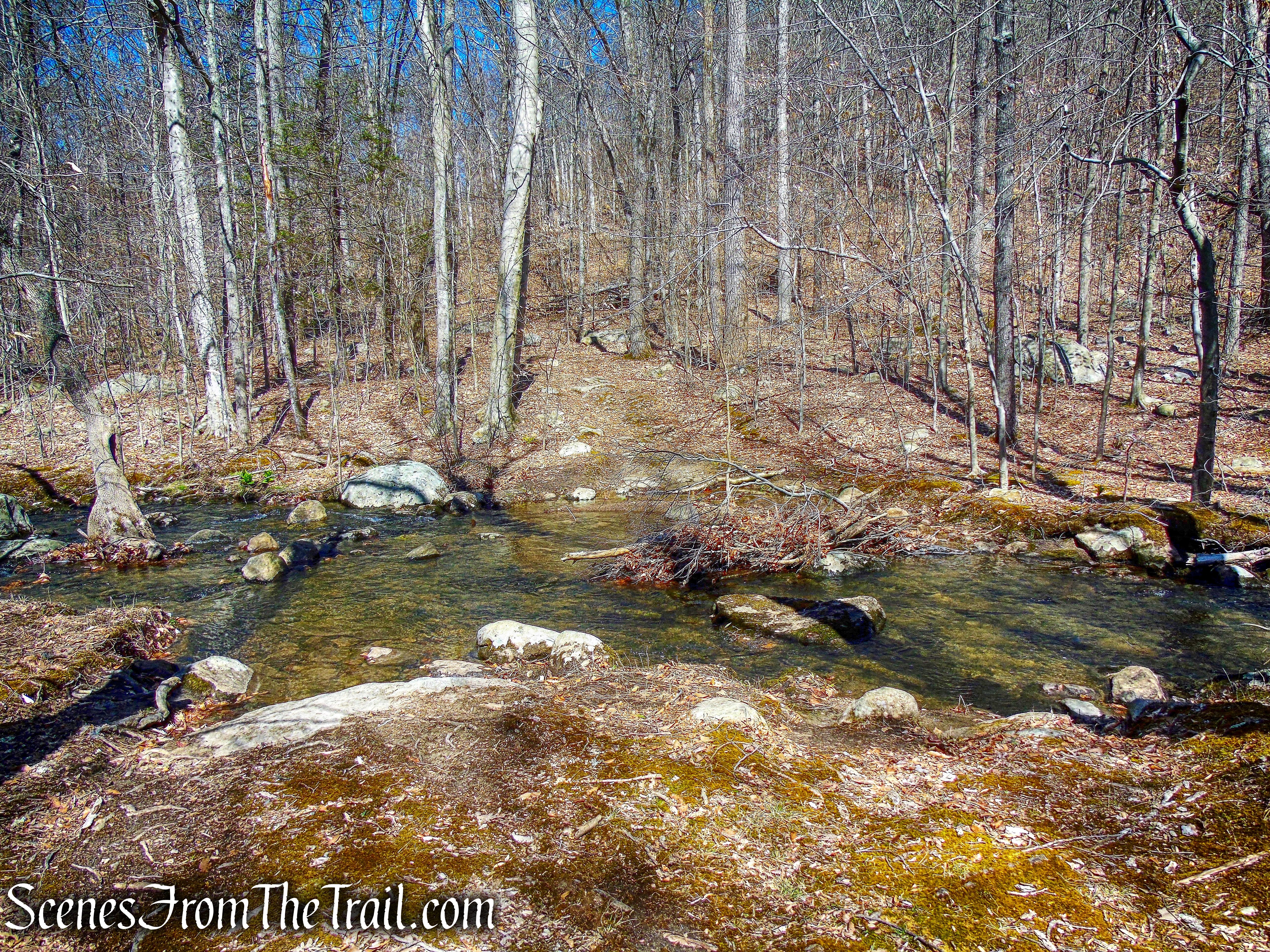 Beech Brook