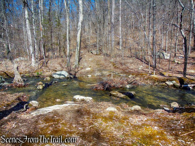 Beech Brook