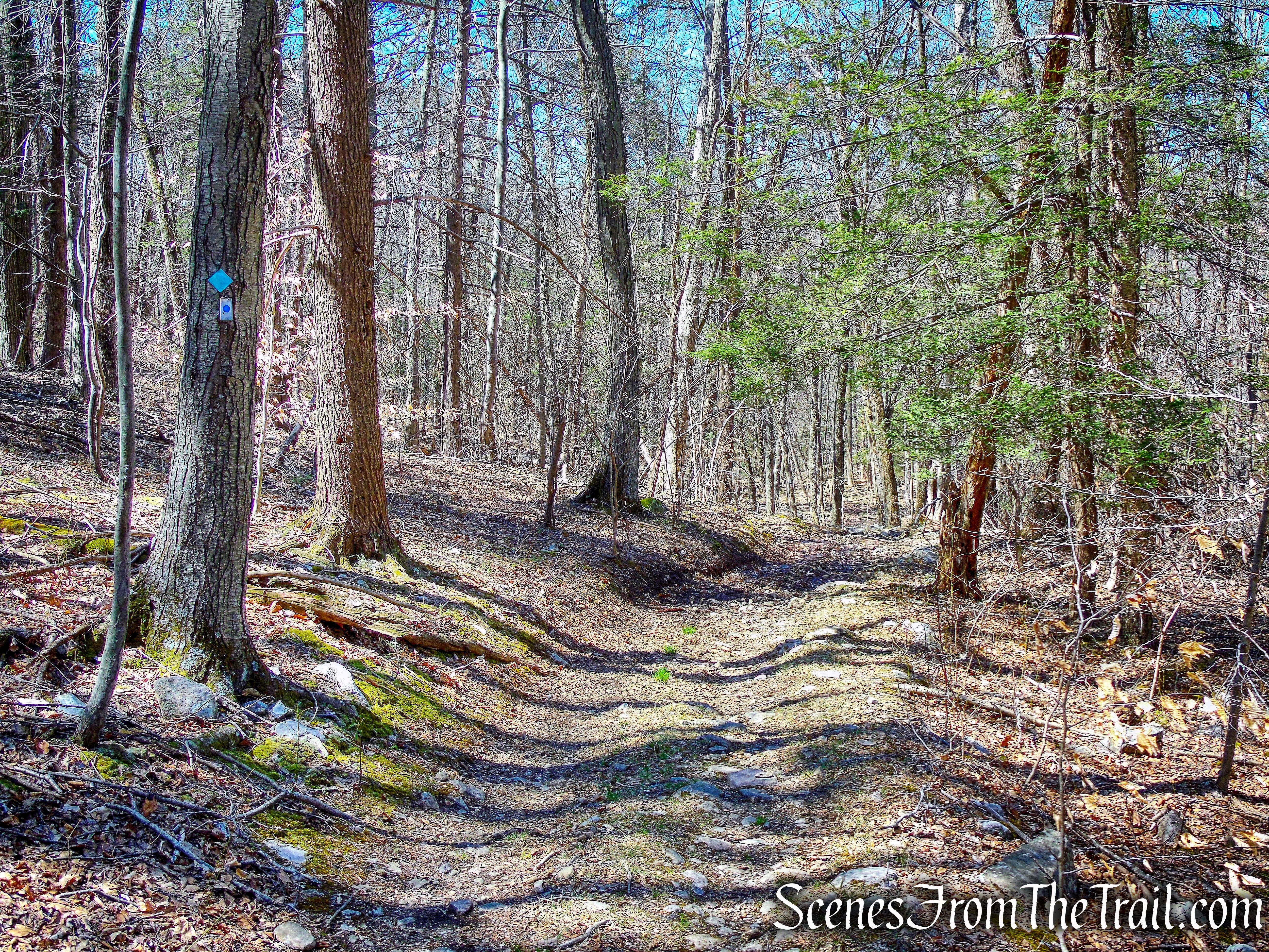 joint Sterling Ridge/Highlands Trail