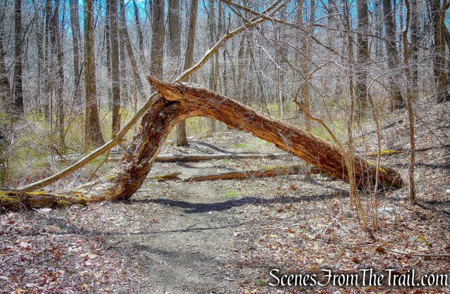 joint Sterling Ridge/Highlands Trail