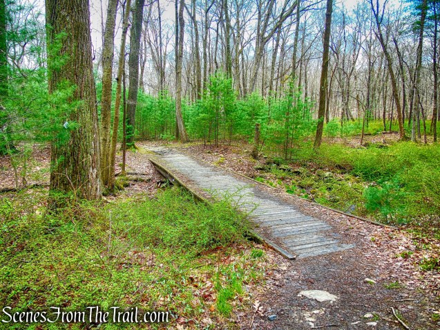 bridge - Horn Hill Loop Mountain Bike Trail