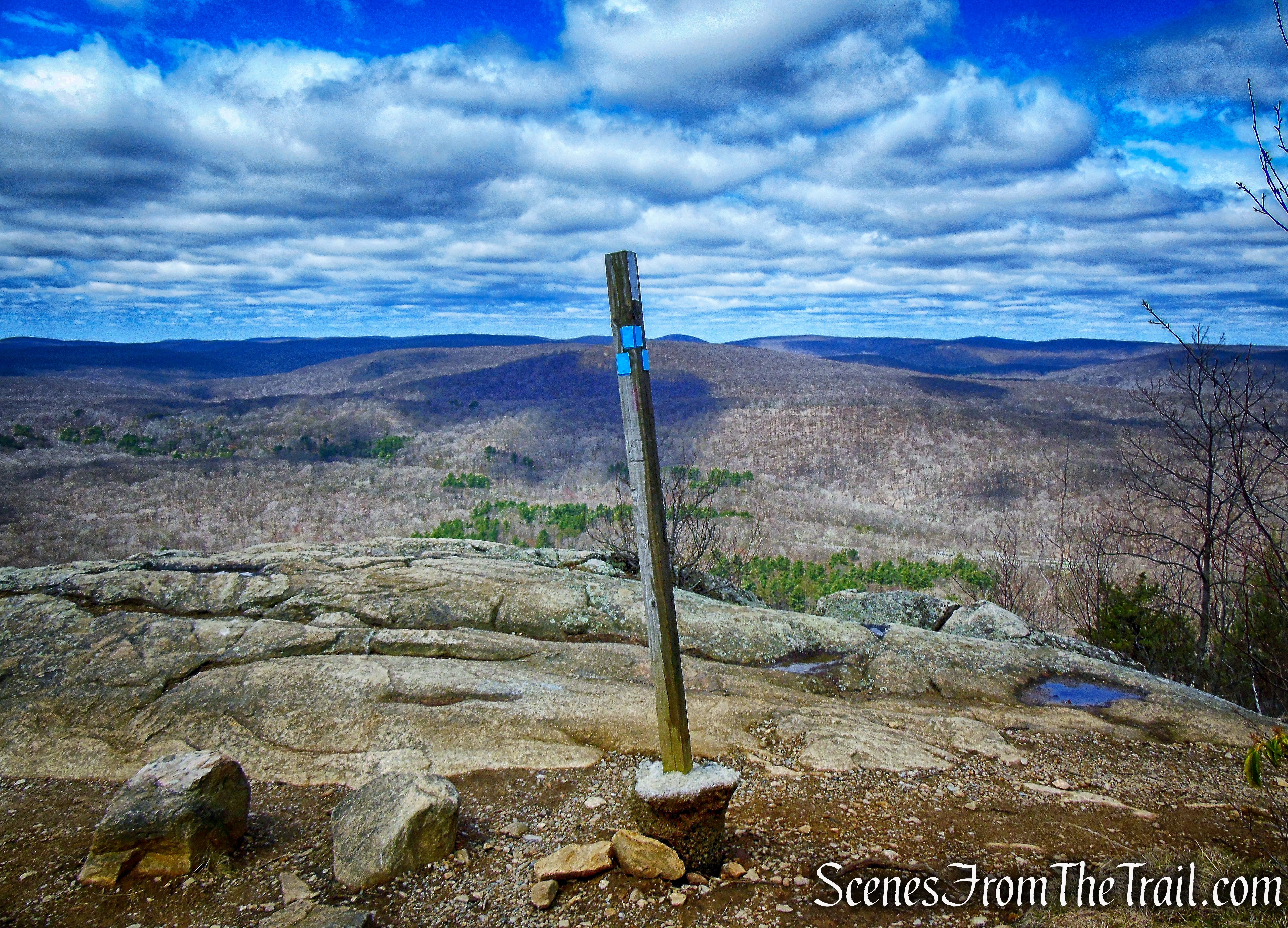 junction with the Timp-Torne Trail