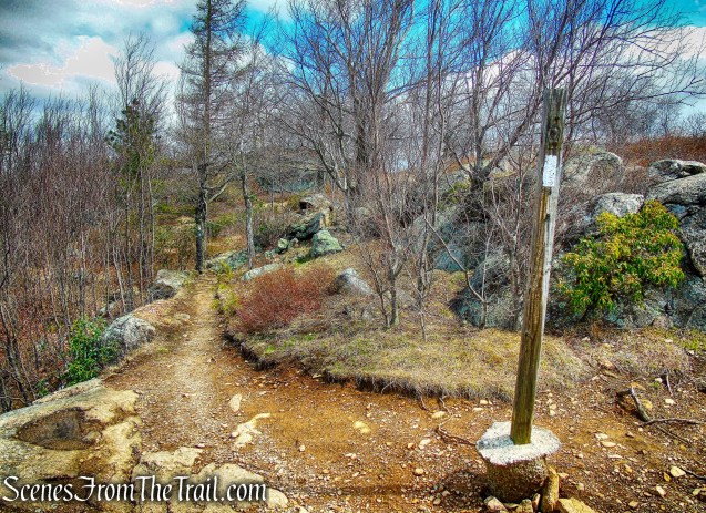 coaligned AT/Timp-Torne Trail