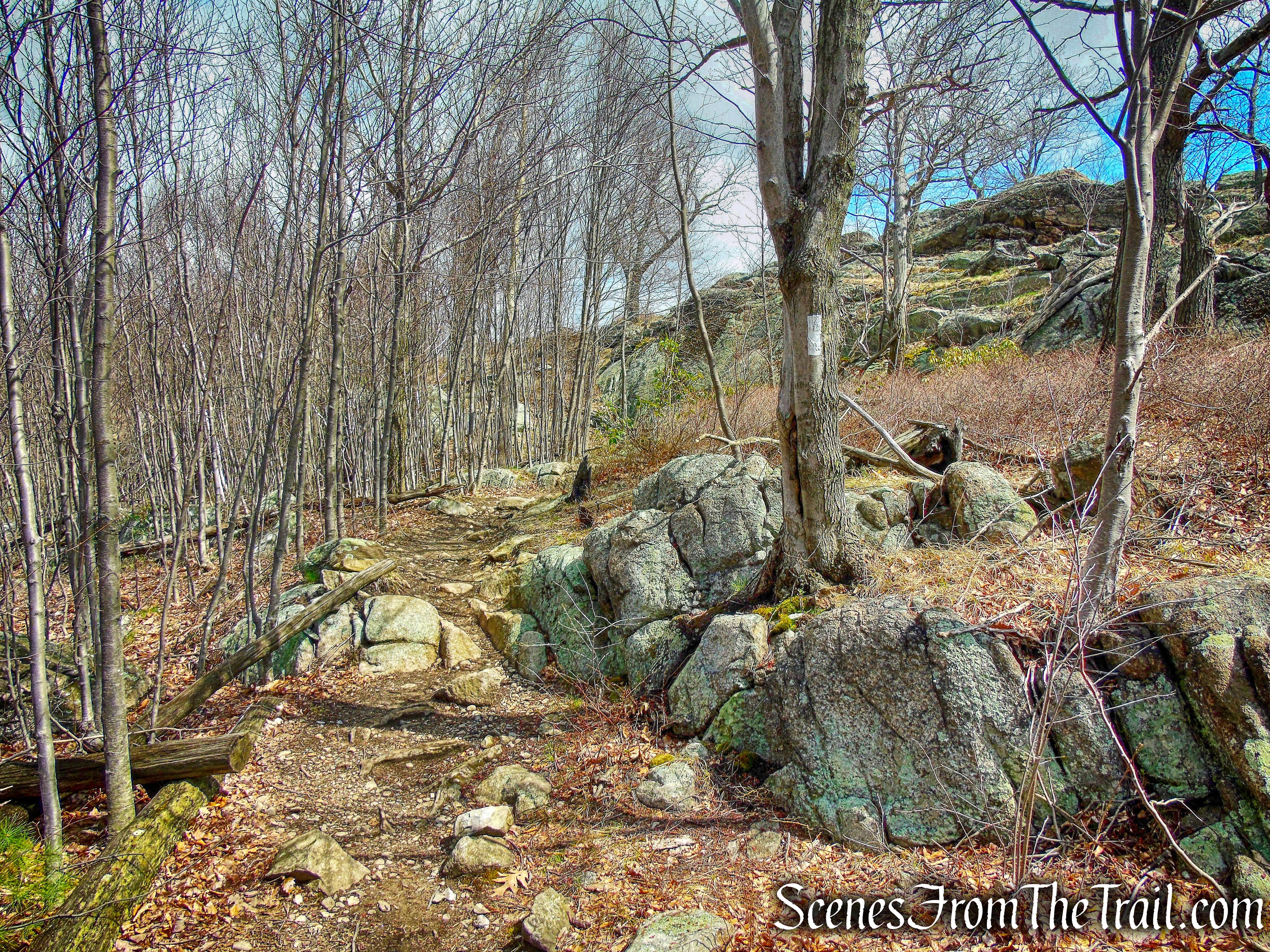 coaligned AT/Timp-Torne Trail