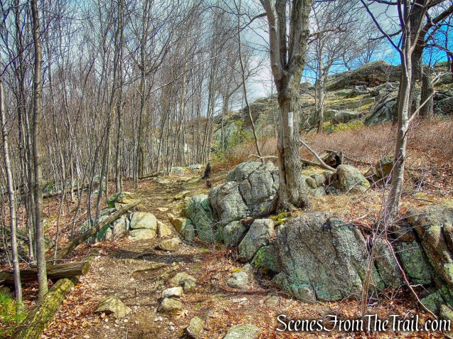 coaligned AT/Timp-Torne Trail