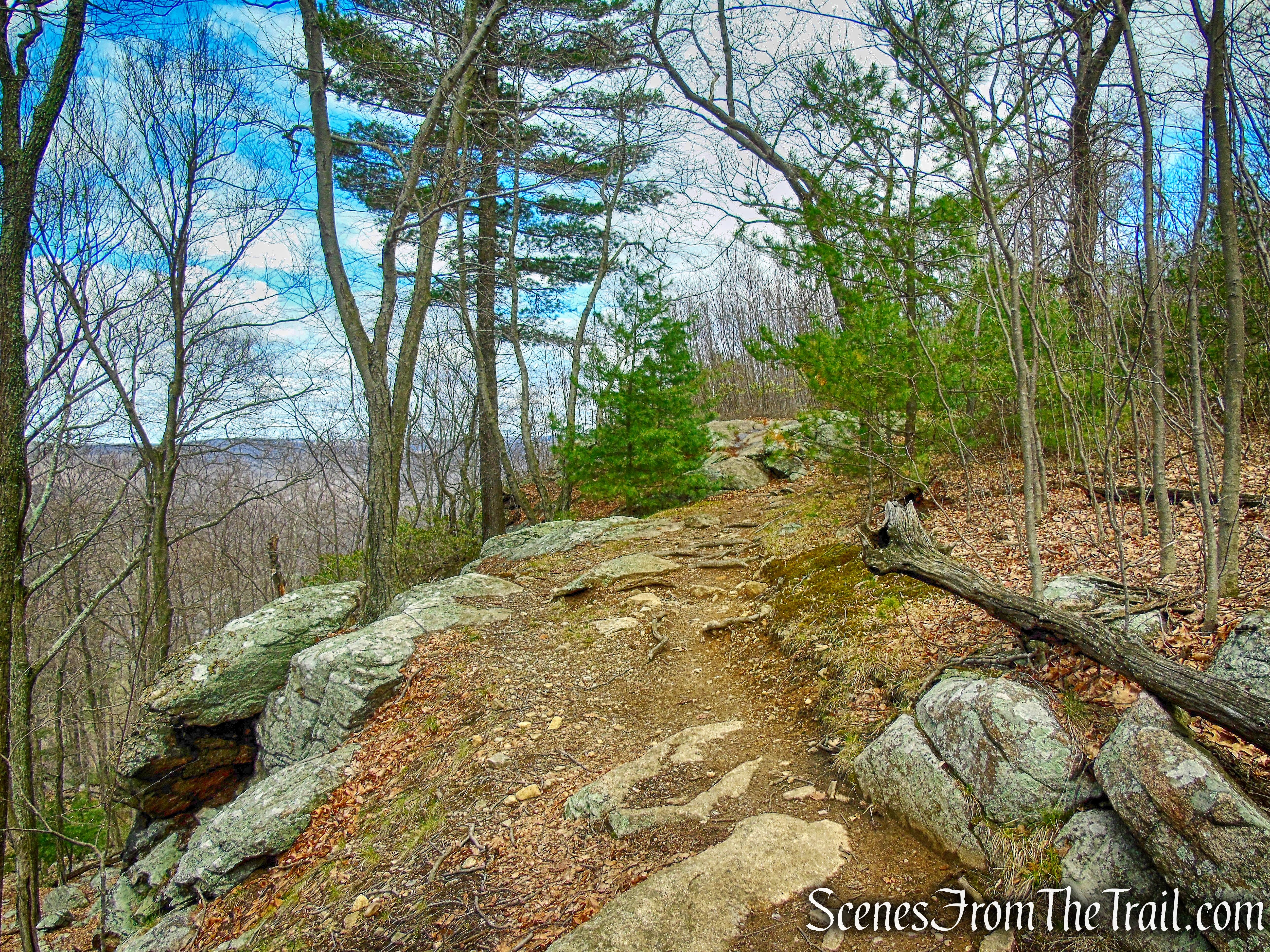coaligned AT/Timp-Torne Trail