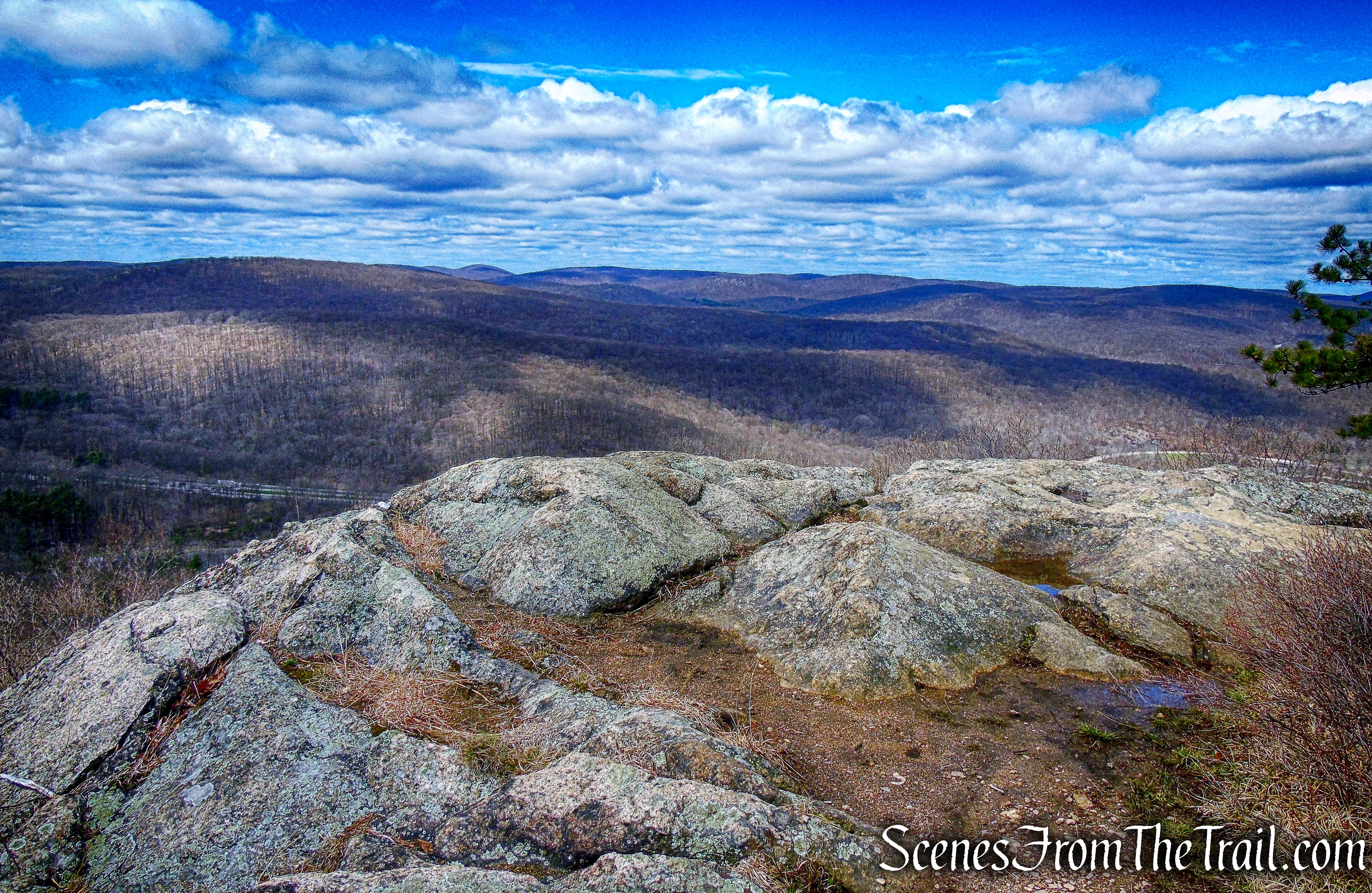 west-facing view - coaligned AT/Timp-Torne Trail