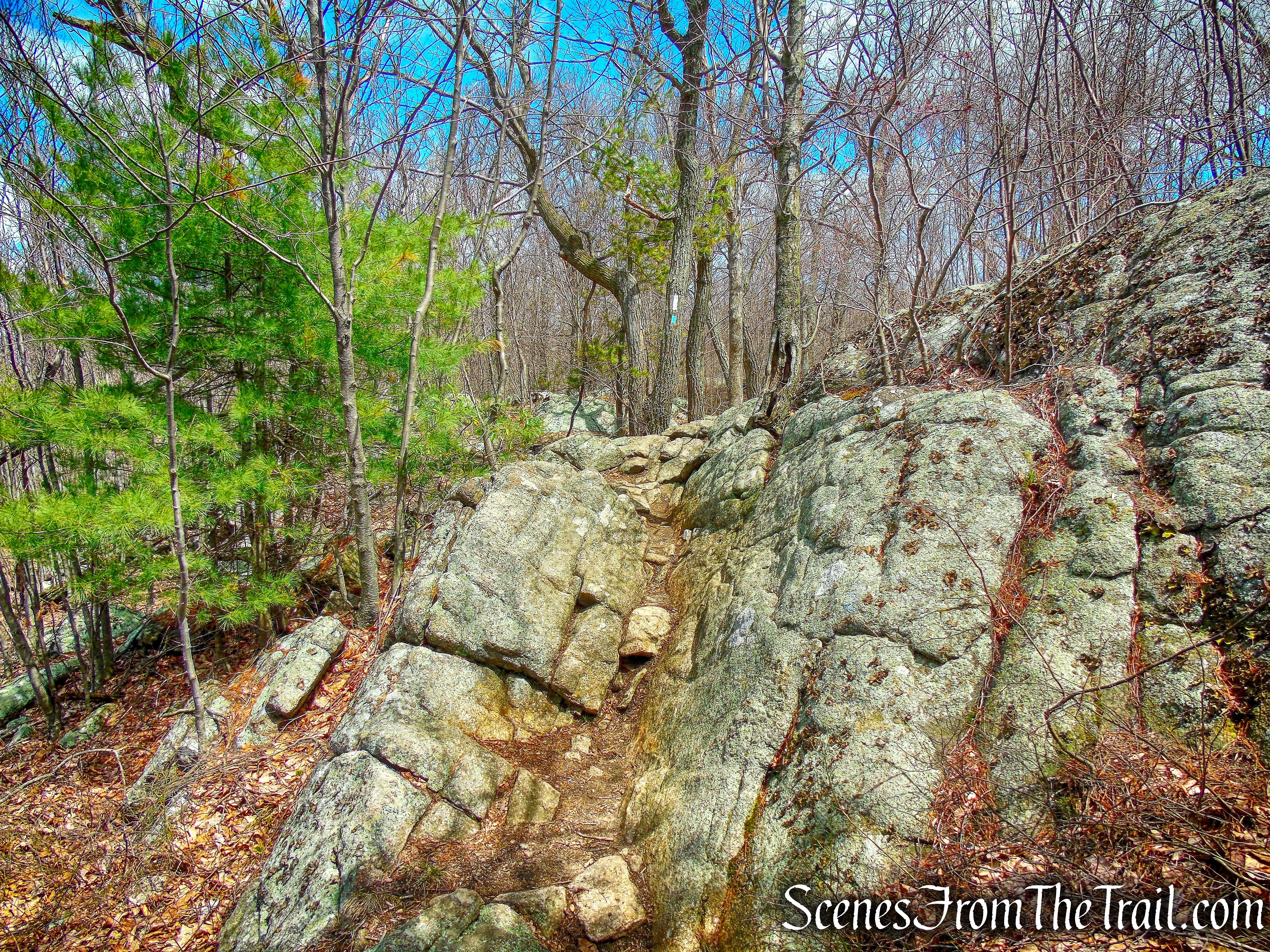 rock ledge - coaligned AT/Timp-Torne Trail