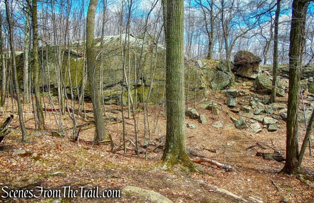 coaligned AT/Timp-Torne Trail