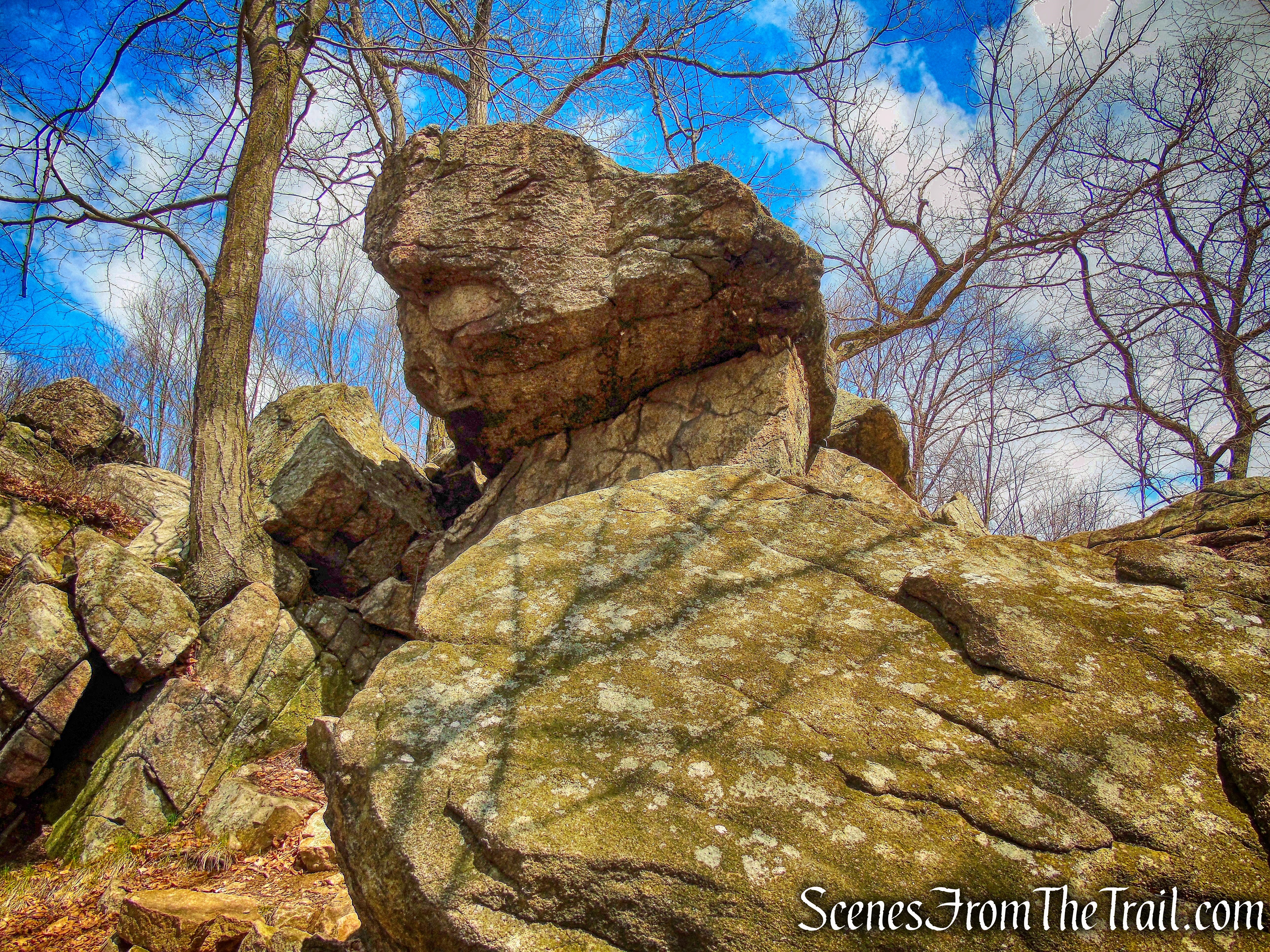 coaligned AT/Timp-Torne Trail