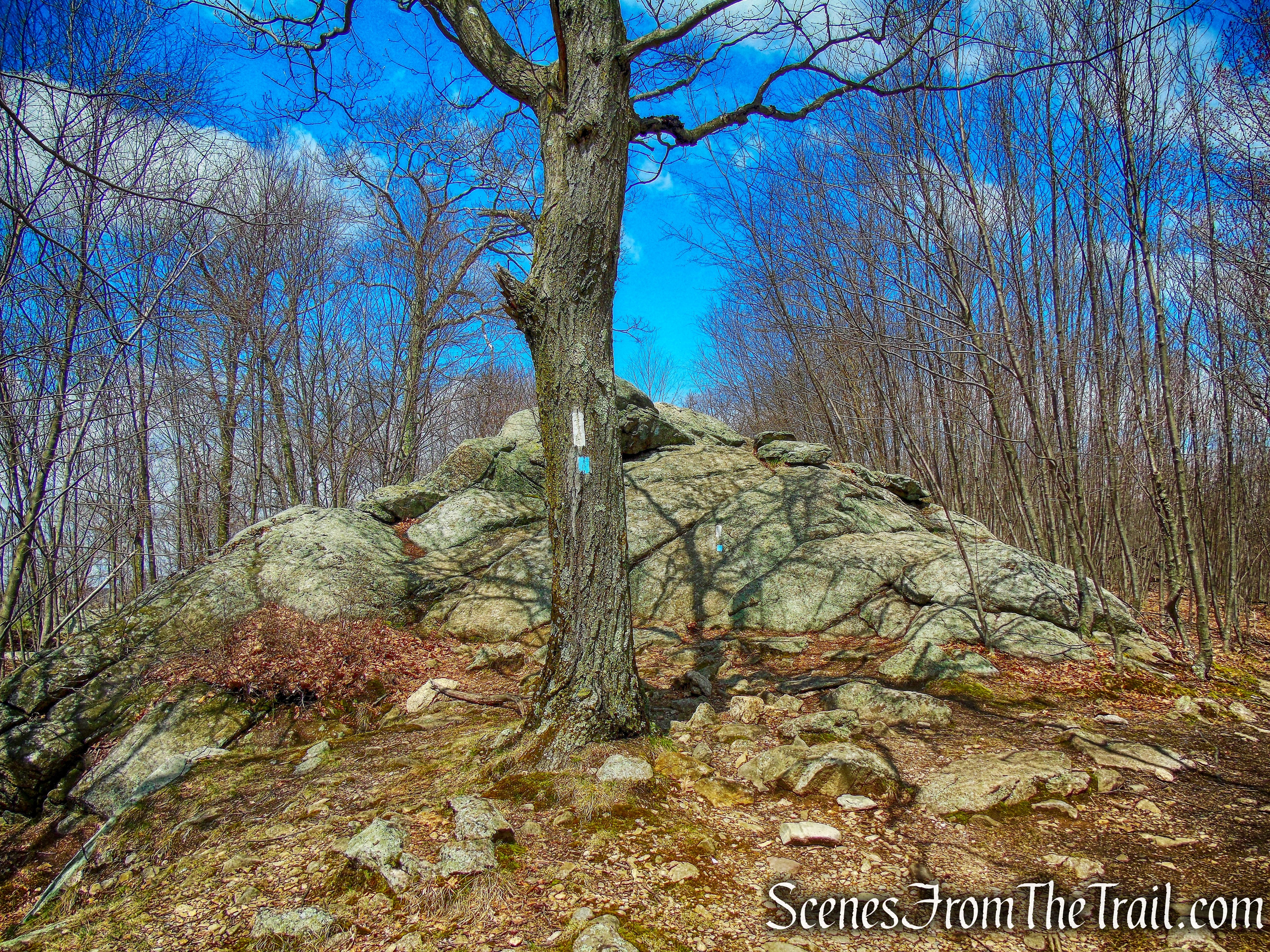coaligned AT/Timp-Torne Trail