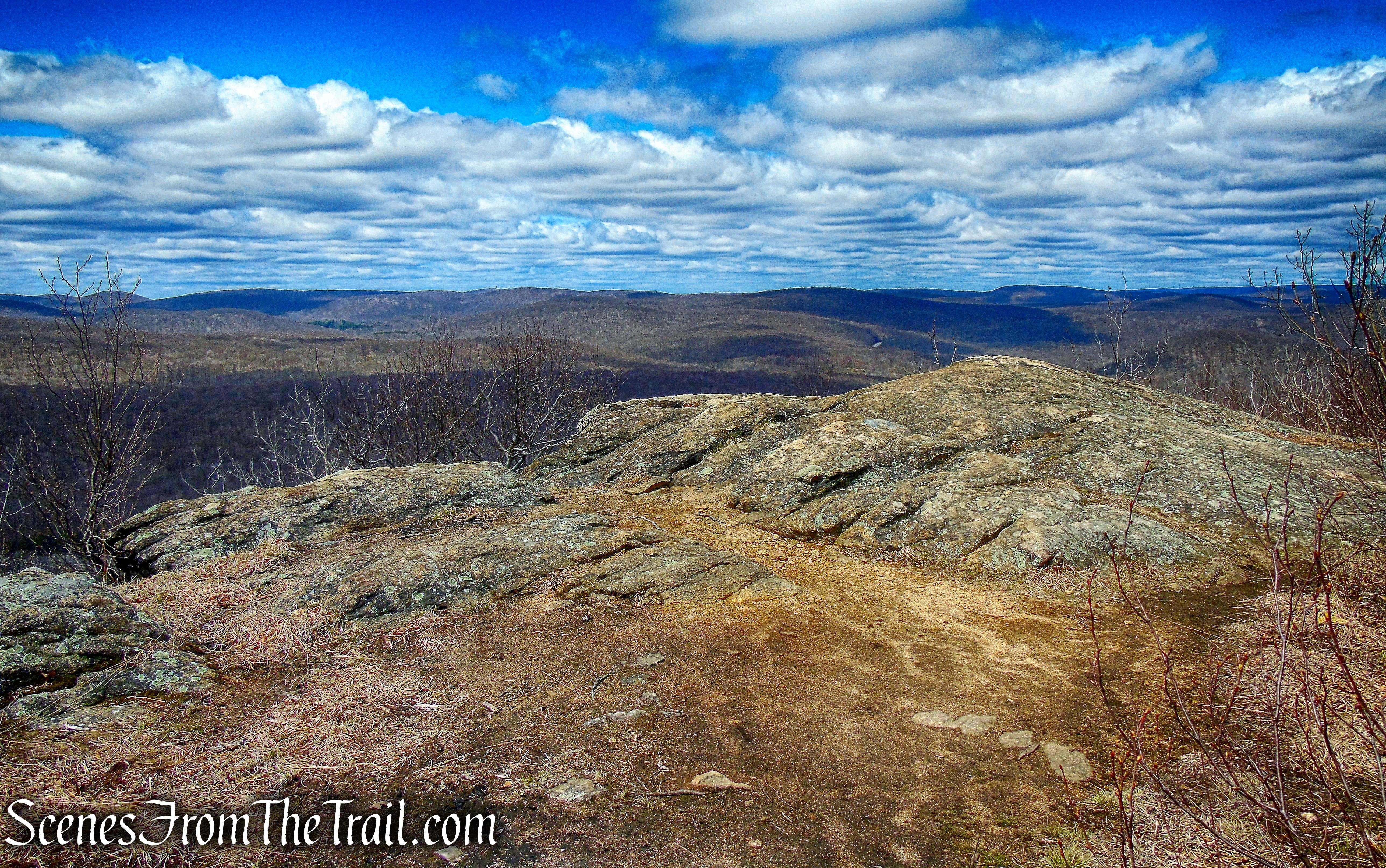 coaligned AT/Timp-Torne Trail
