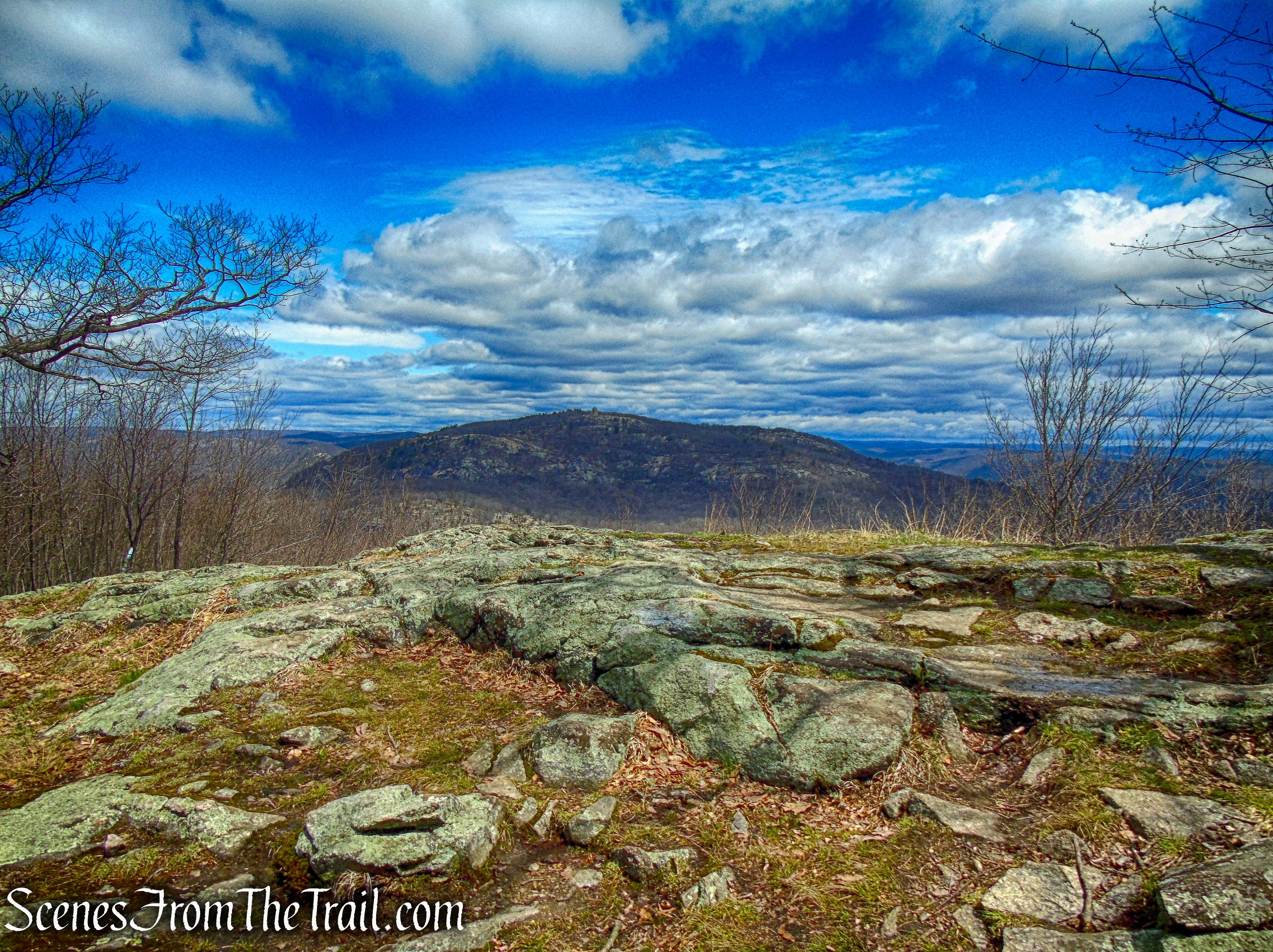 view north of Bear Mountain
