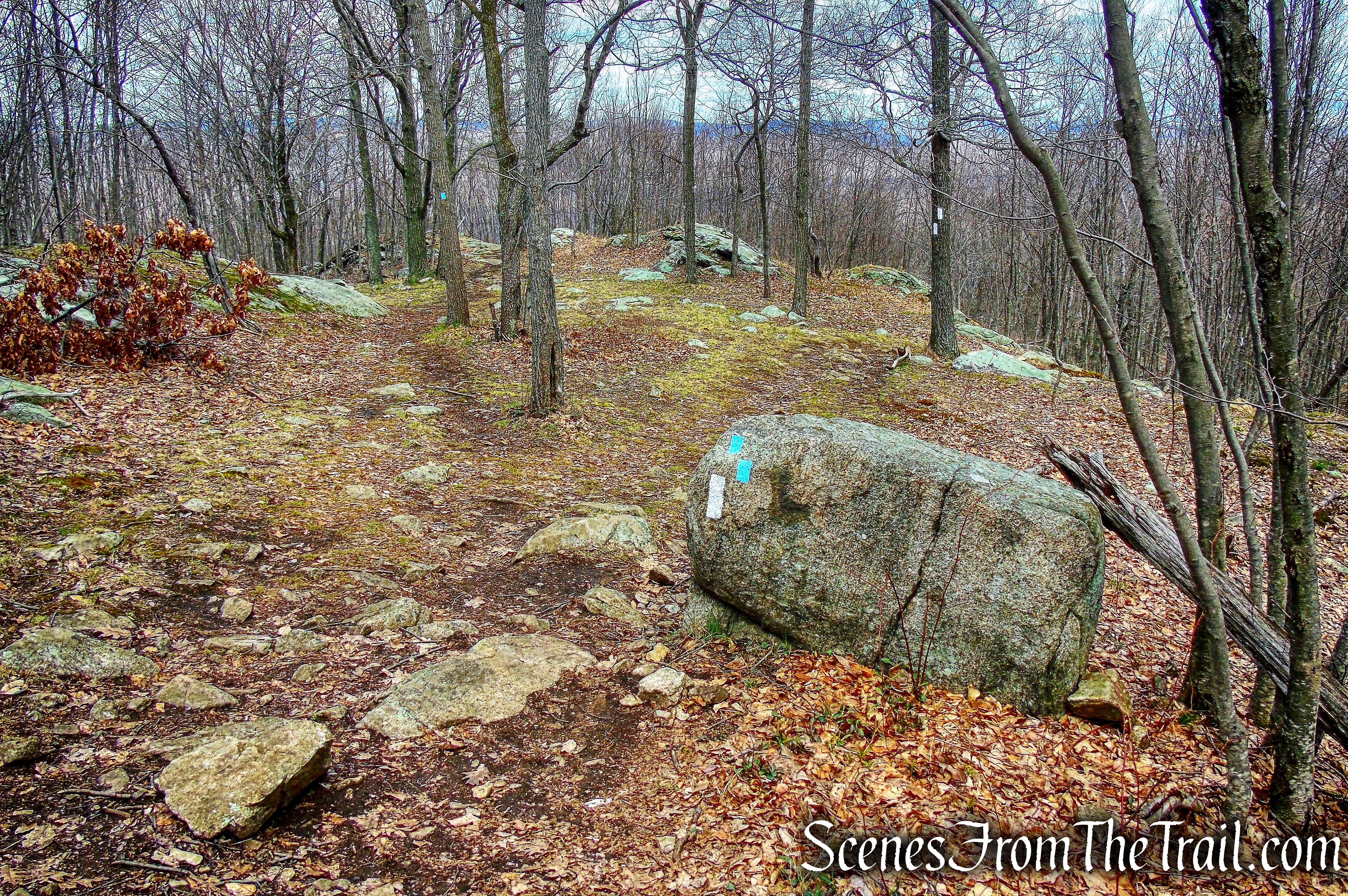 veer left on Timp-Torne Trail