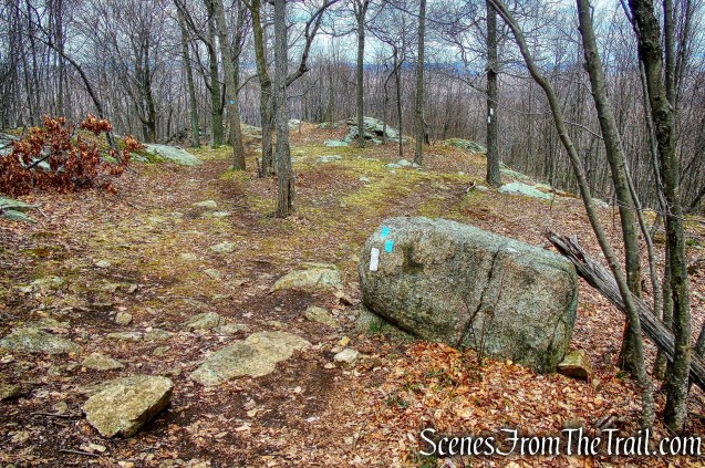 veer left on Timp-Torne Trail