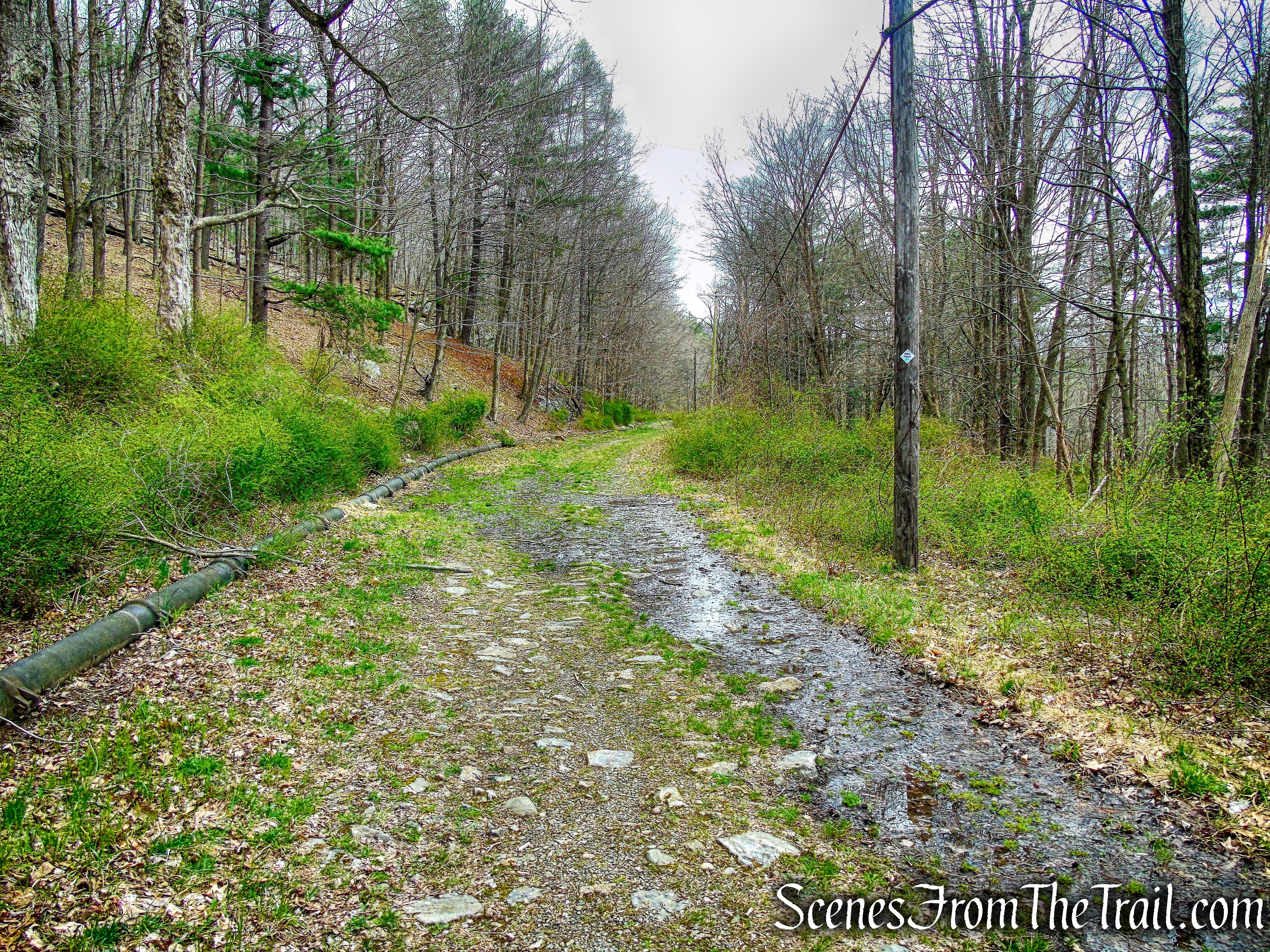 Beechy Bottom East Road