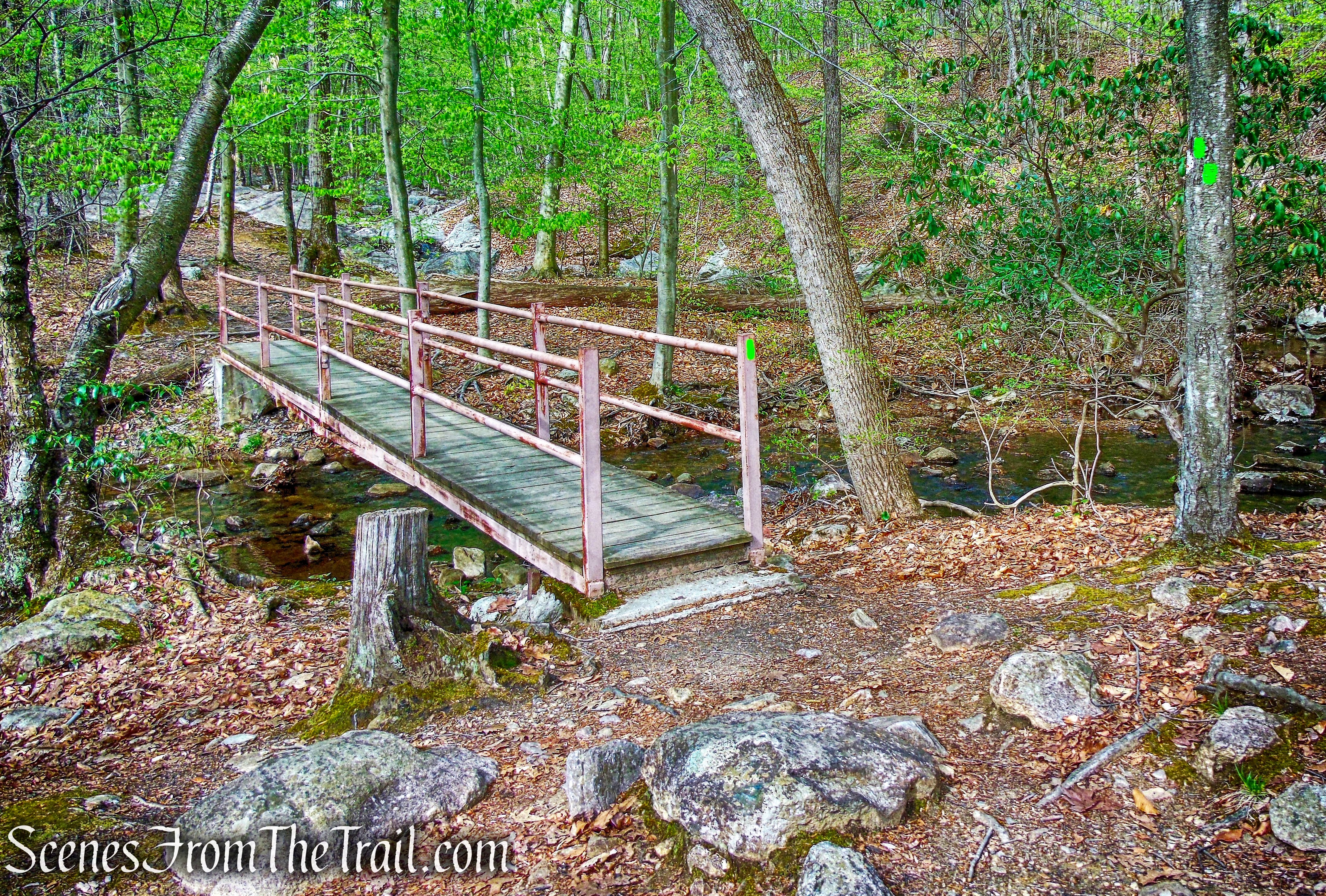 footbridge - Otter Hole Trail
