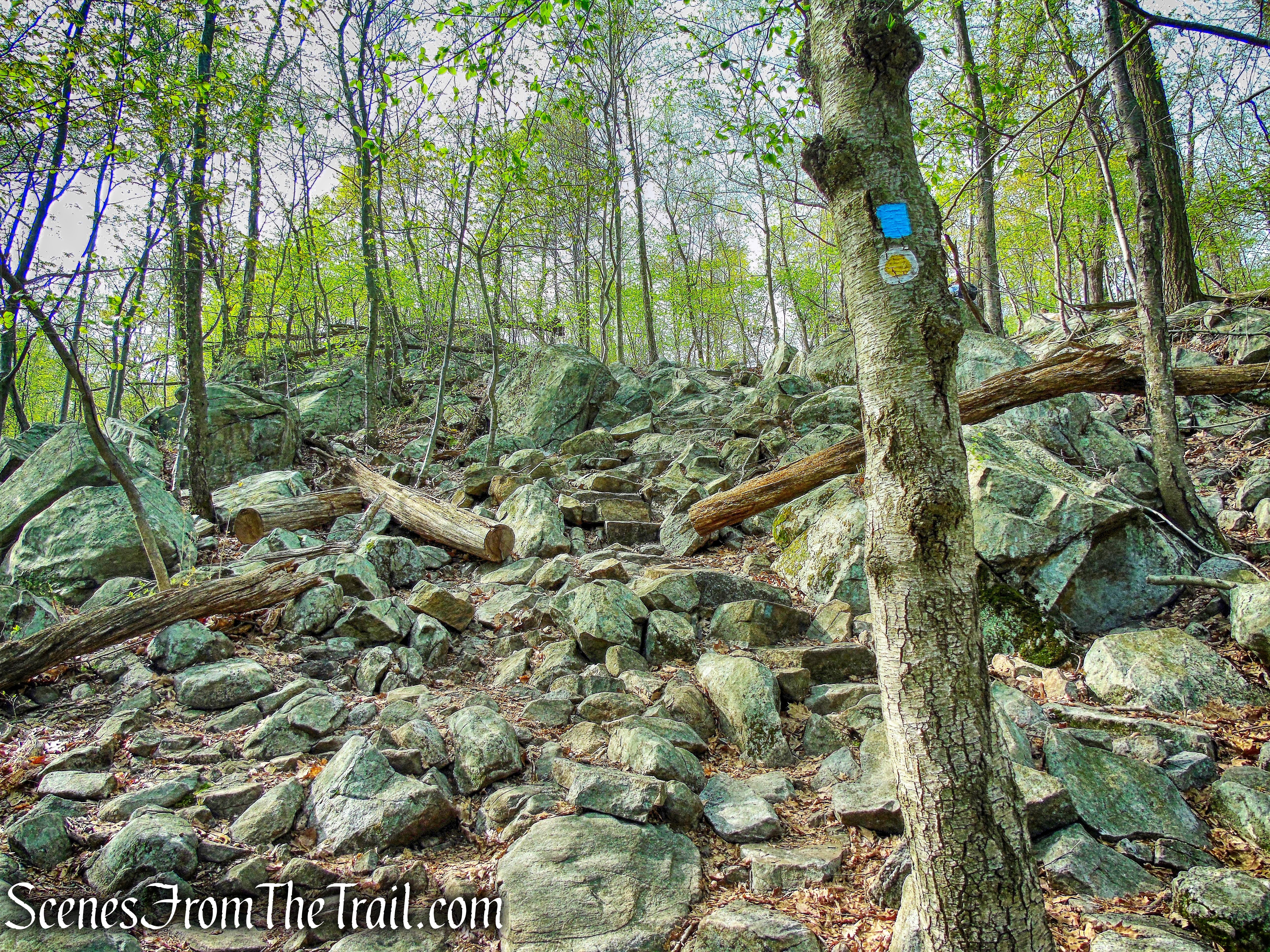 joint Mine and Hewitt-Butler Trails