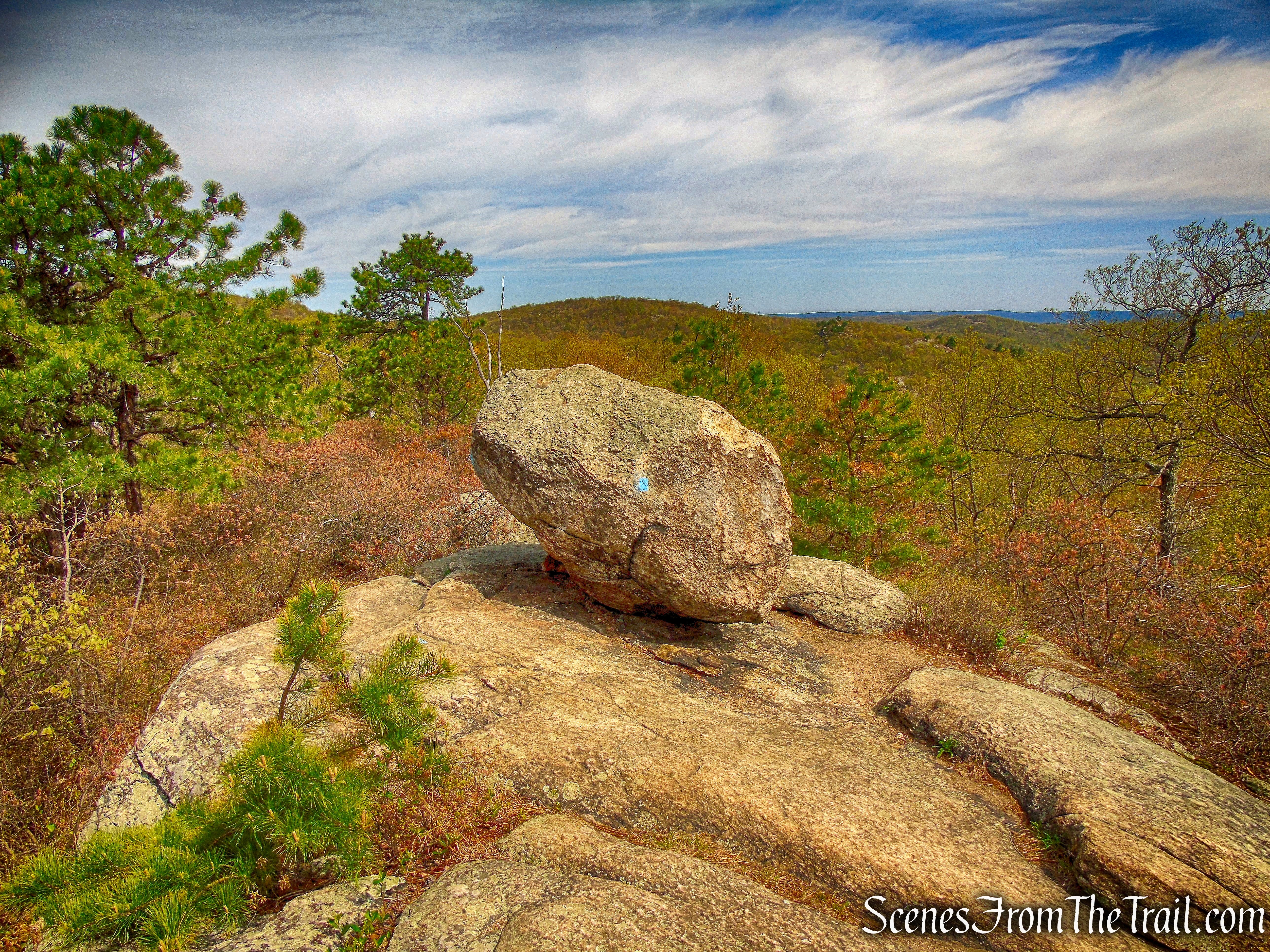 balanced rock - Hewitt-Butler Trail