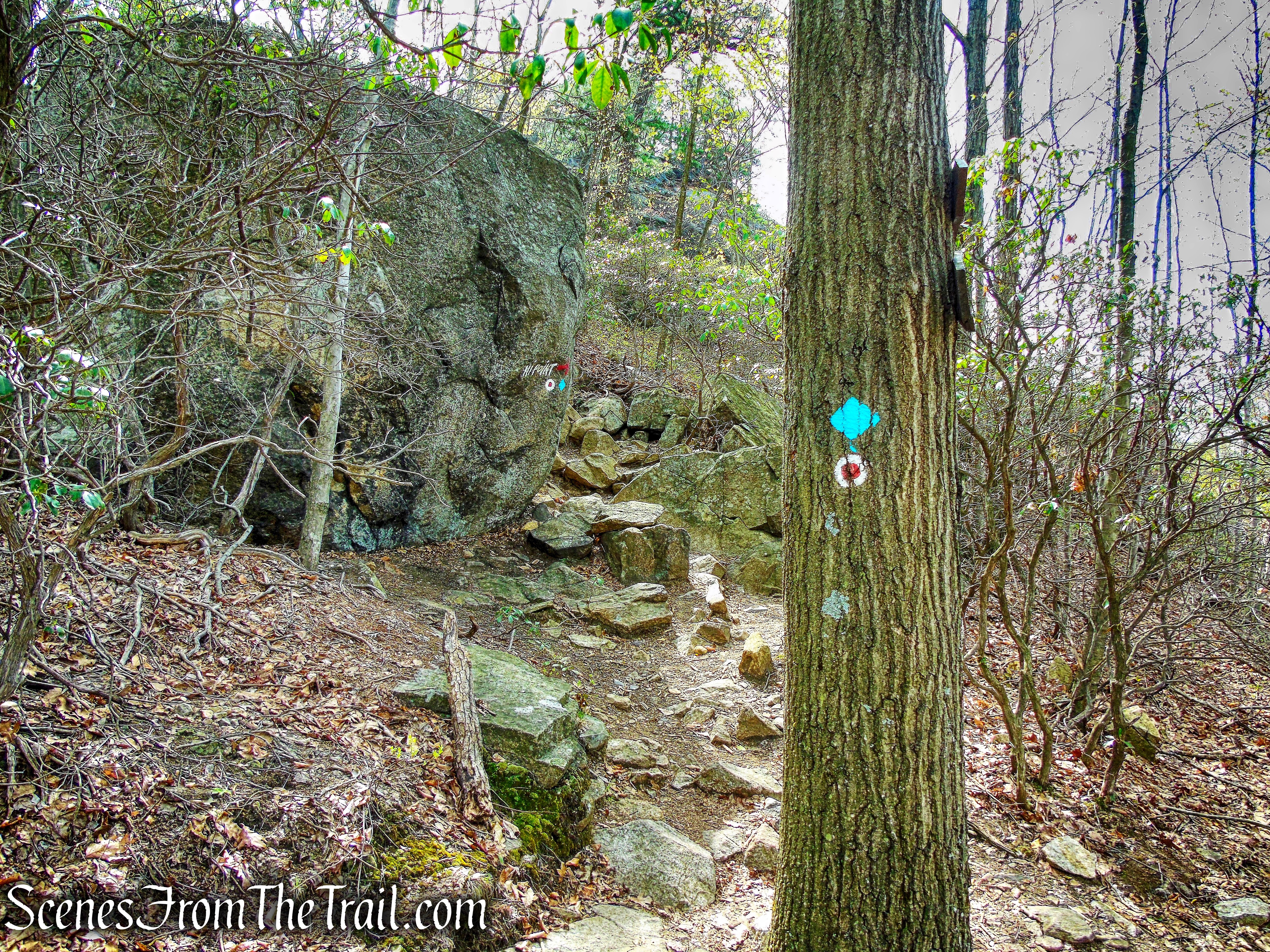 Wyanokie Circular Trail