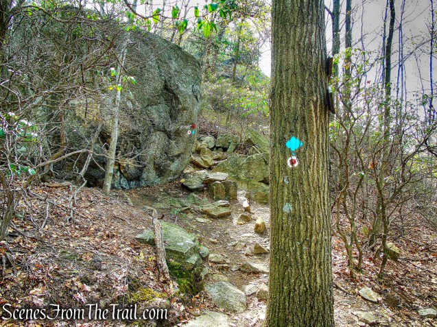 Wyanokie Circular Trail
