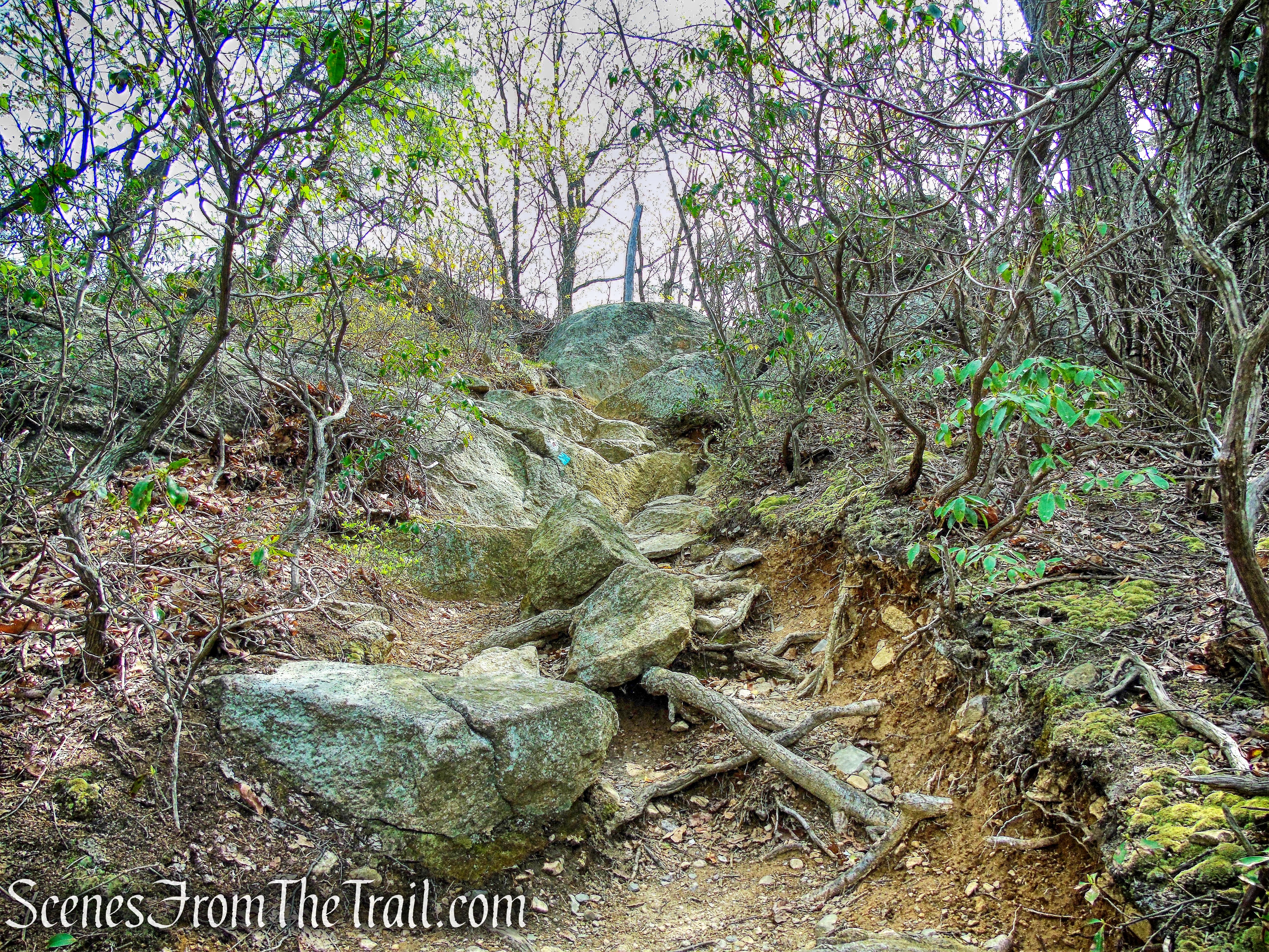 final ascent to Wyanokie High Point