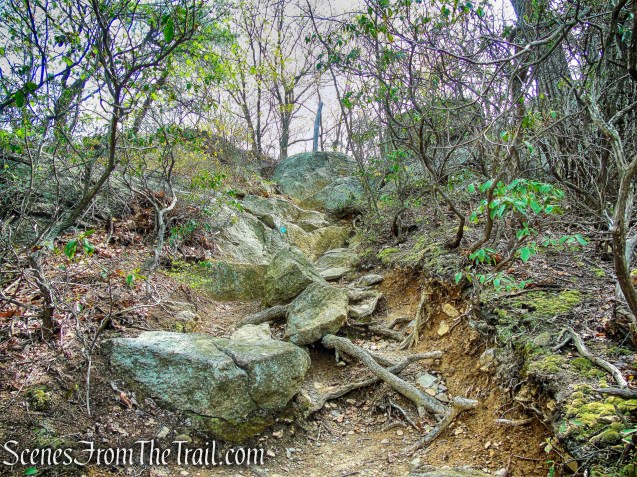 final ascent to Wyanokie High Point