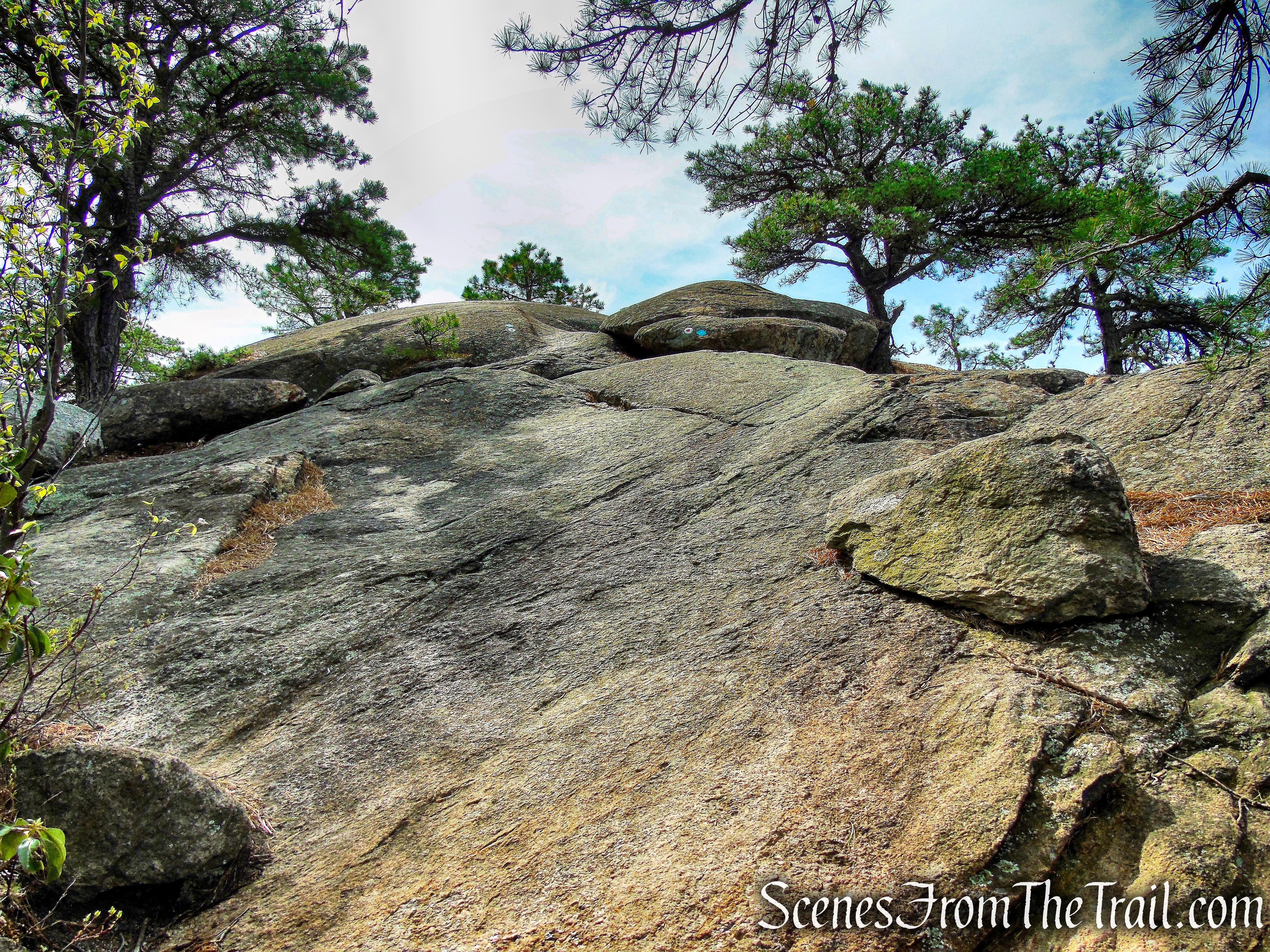final ascent to Wyanokie High Point