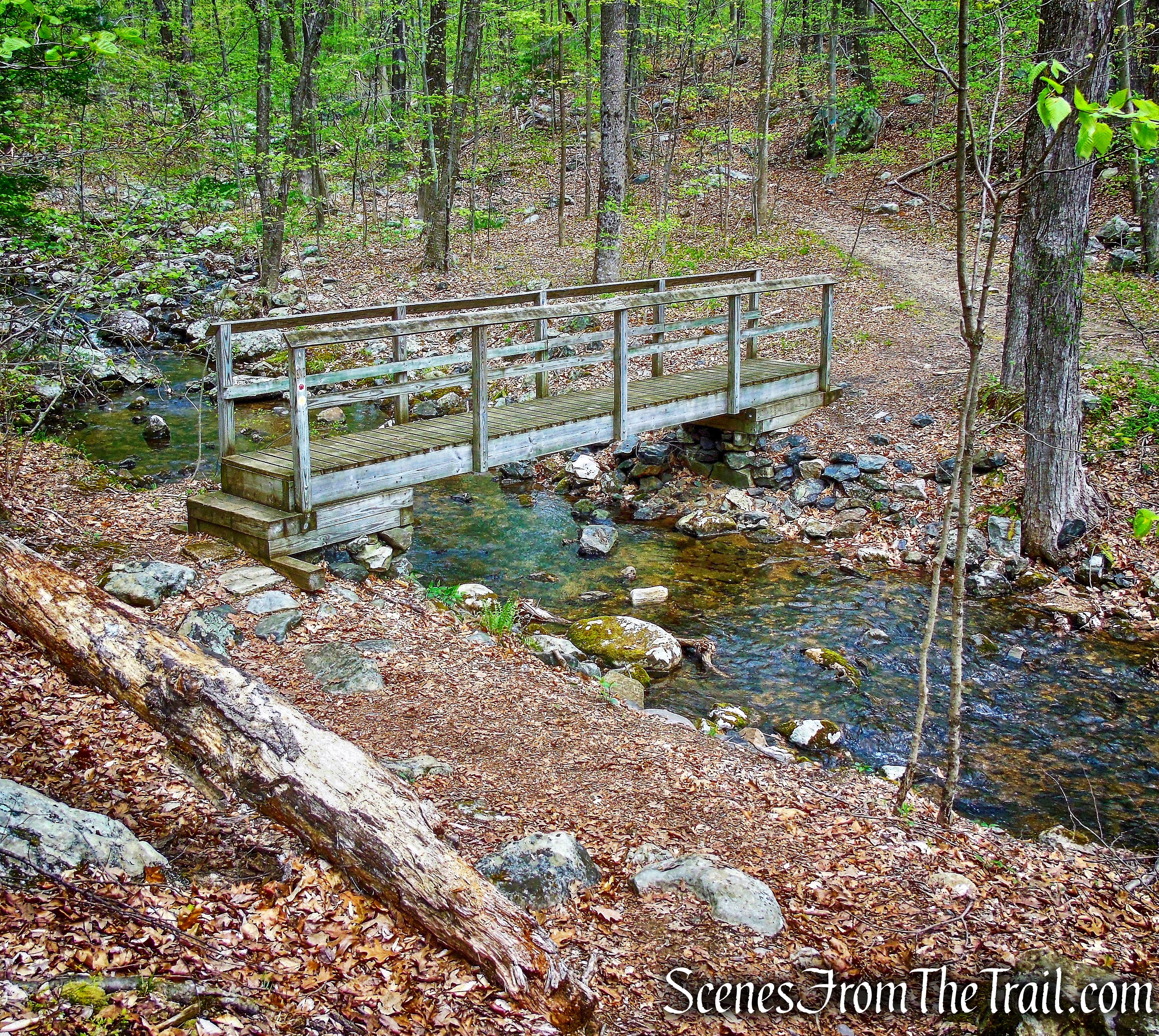 wooden footbridge