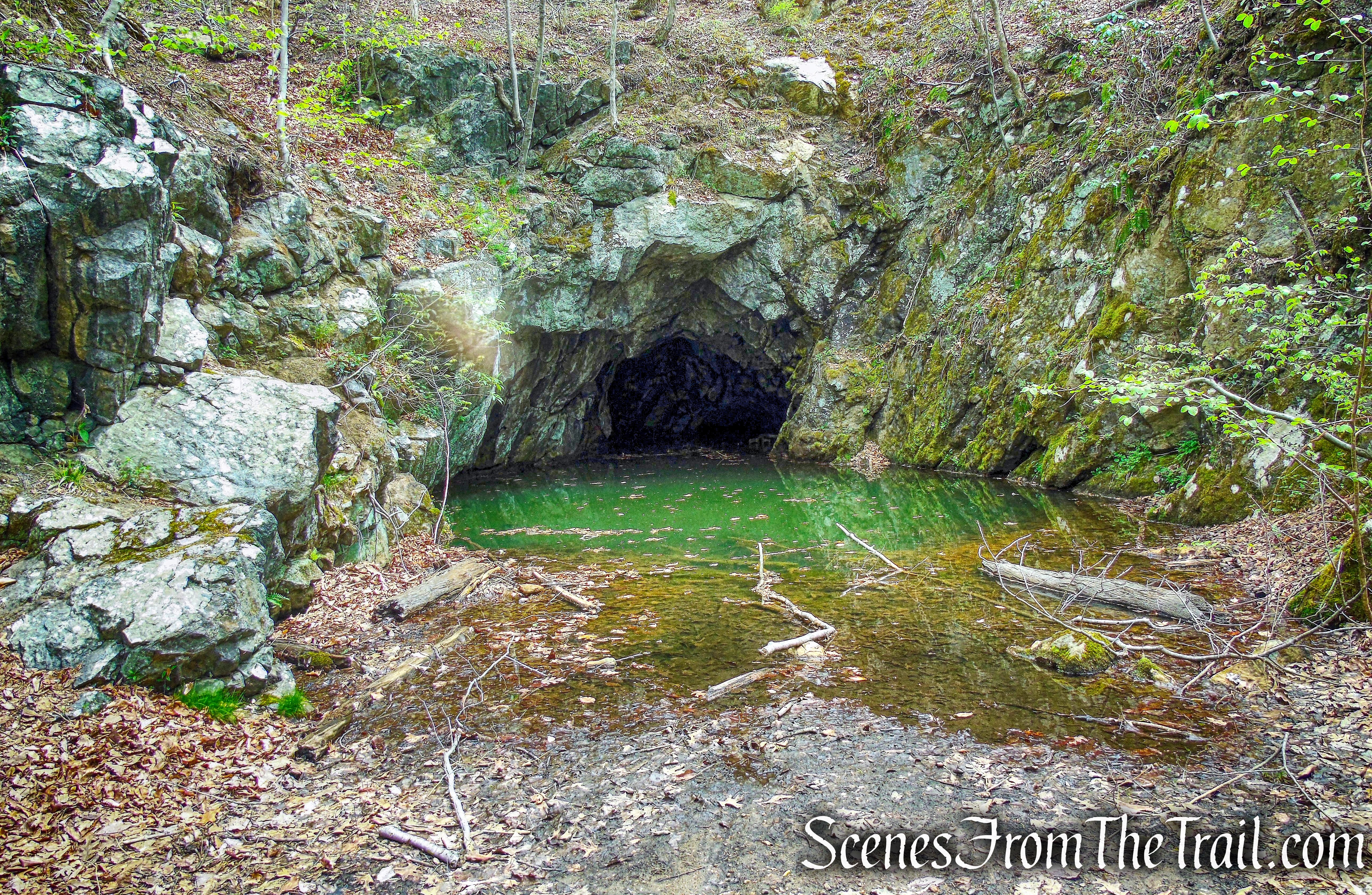 Blue Mine - Norvin Green State Forest
