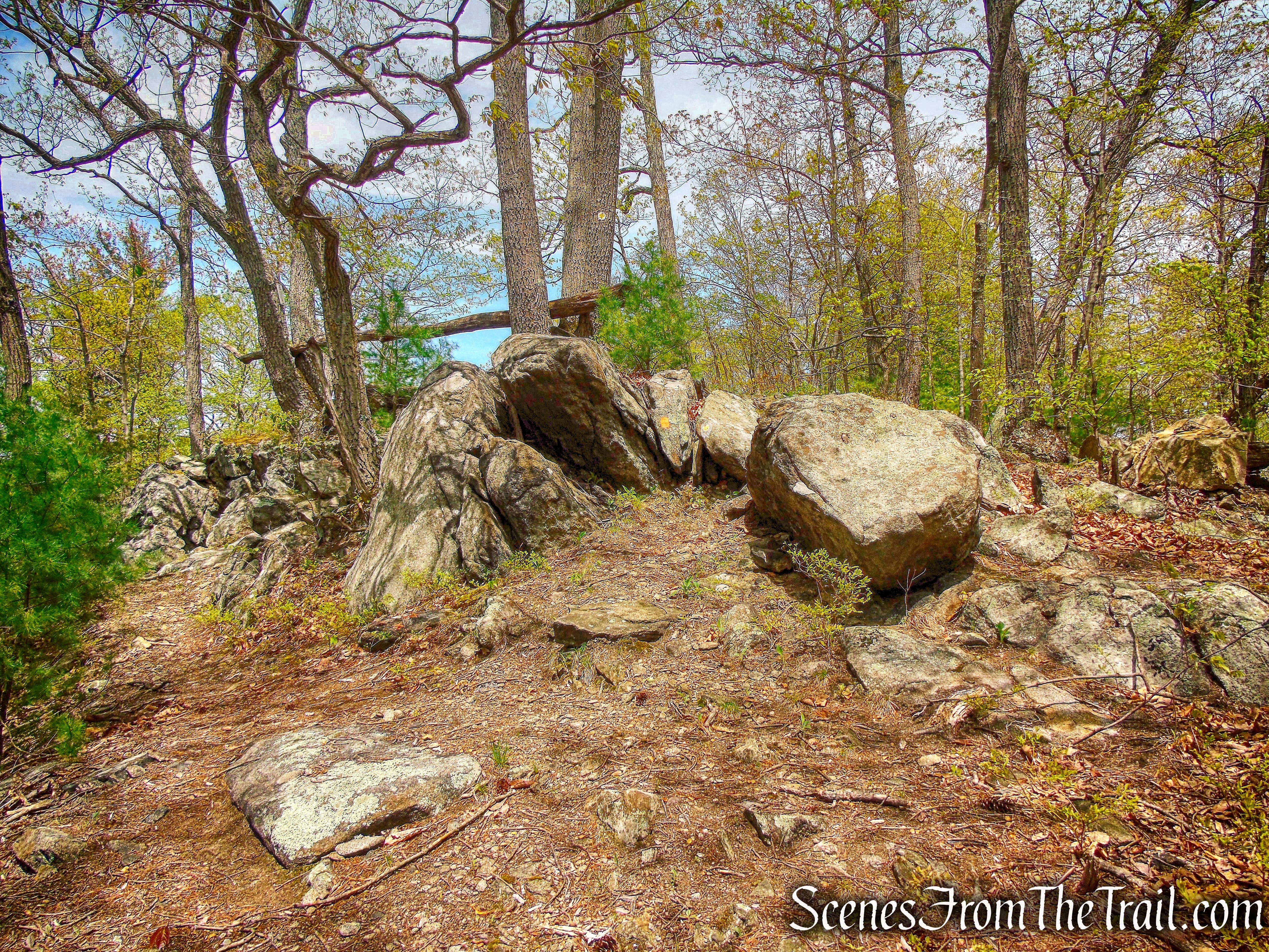 co-aligned Mine and Roomy Mine Trails