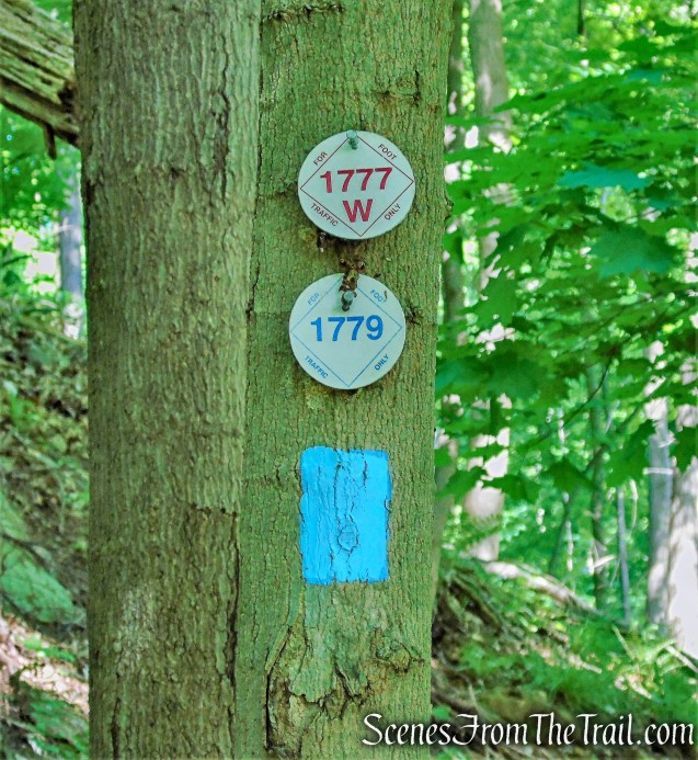 1777W, 1779 and Timp-Torne Trails