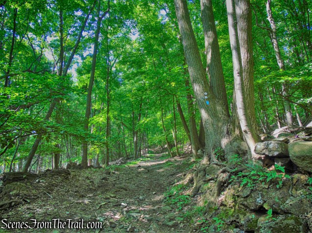 1777W, 1779 and Timp-Torne Trails