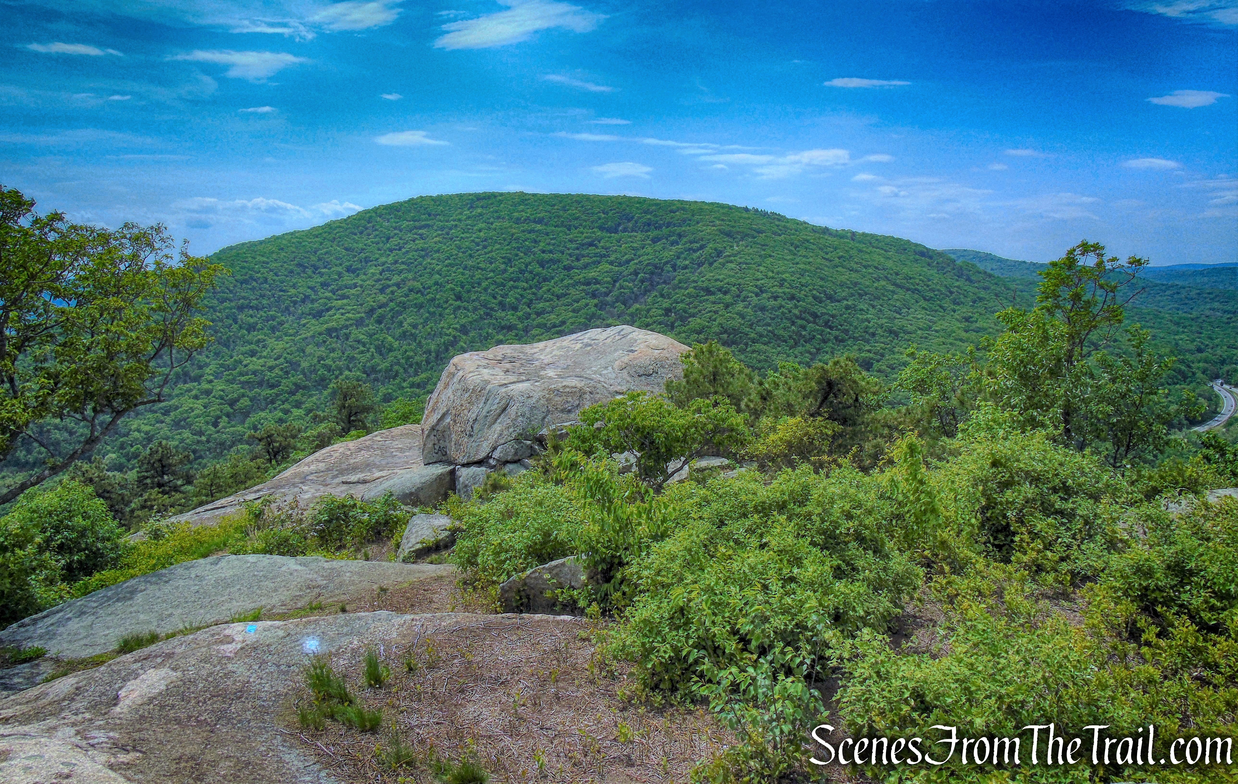 view south from The Torne