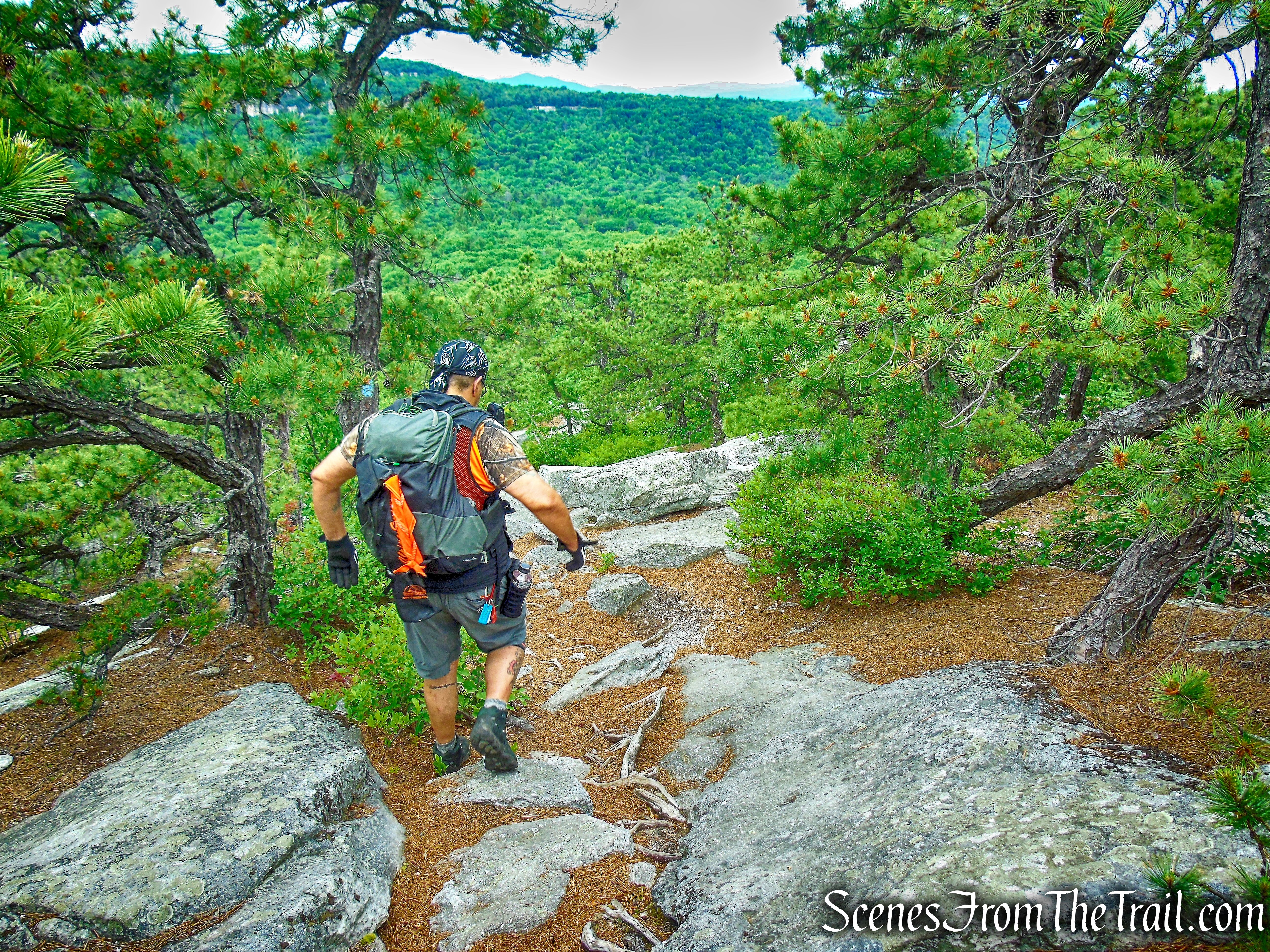 High Peter's Kill and Millbrook Ridge Loop - Mohonk Preserve