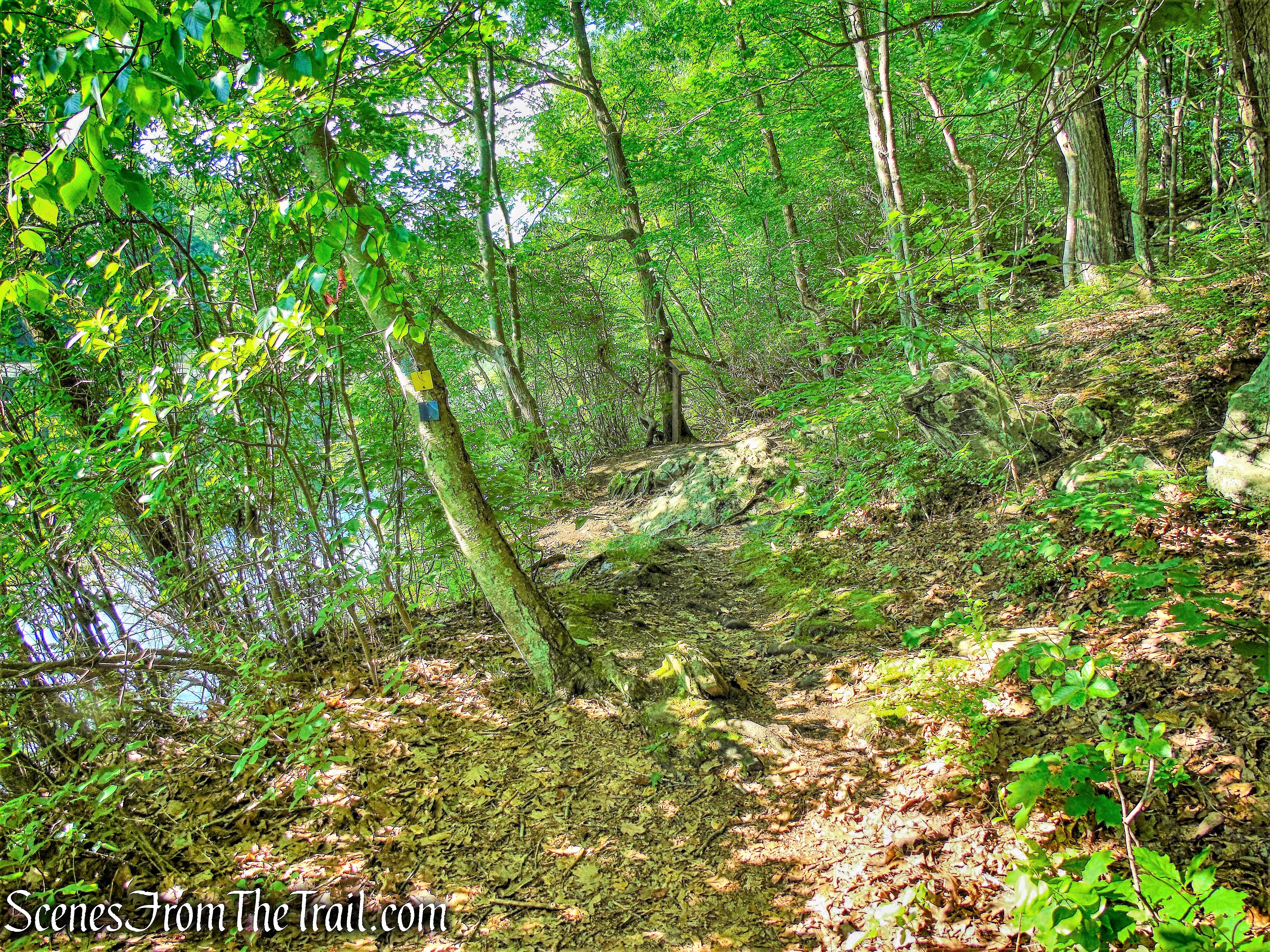 Blue and Yellow Trail
