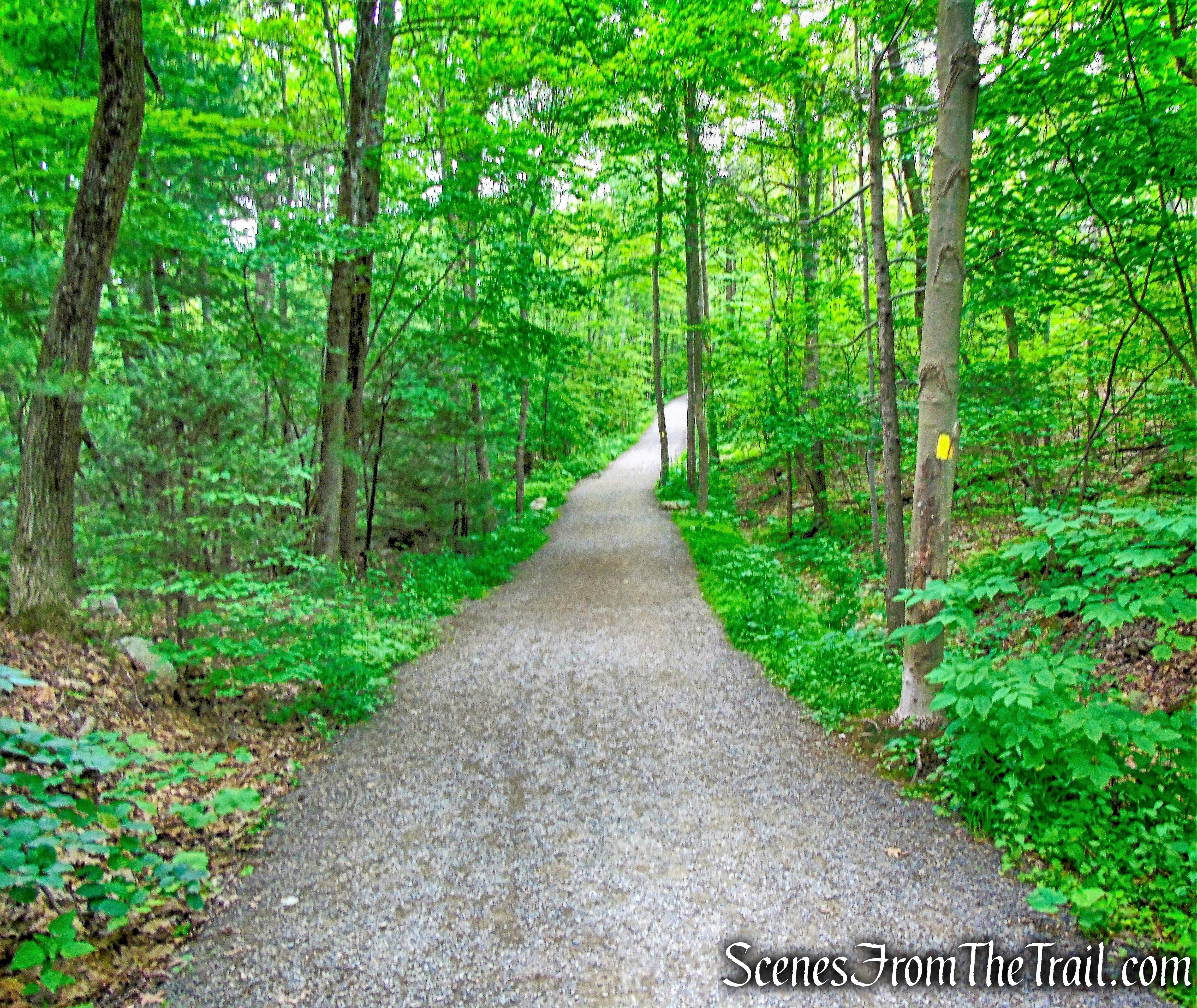 West Trapps Connector Trail