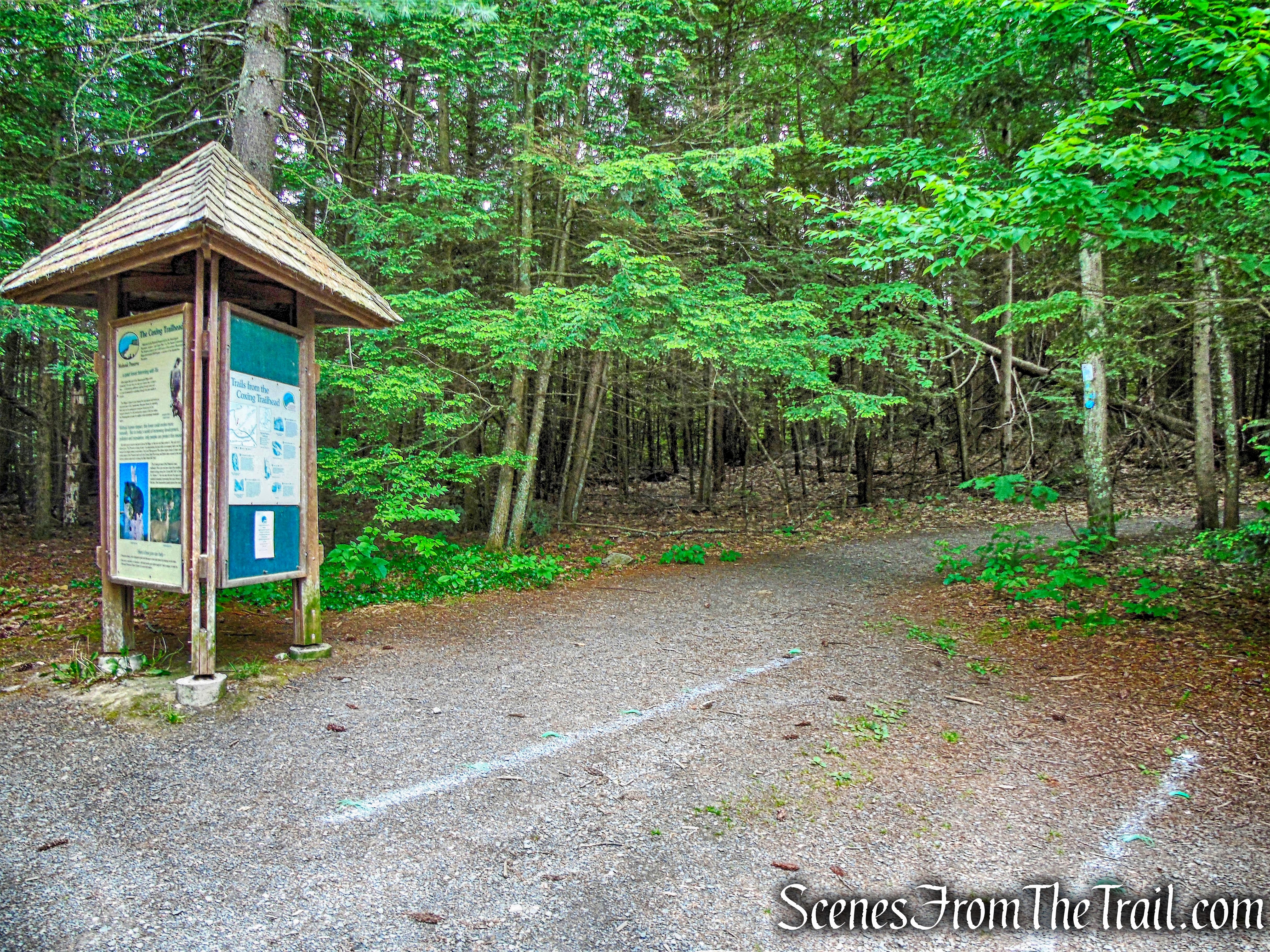 High Peter's Kill Trail - Coxing Trailhead