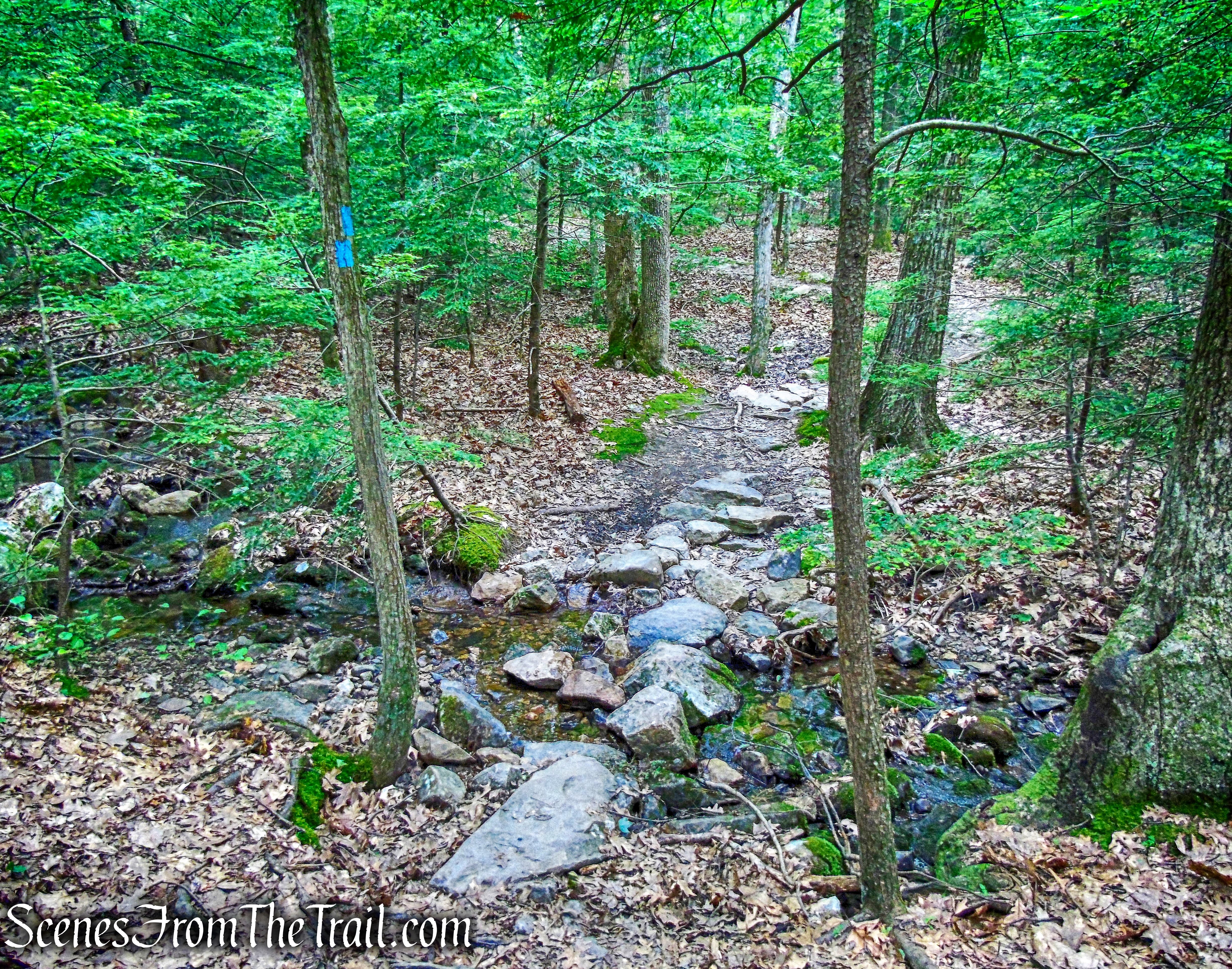 High Peter's Kill Trail 